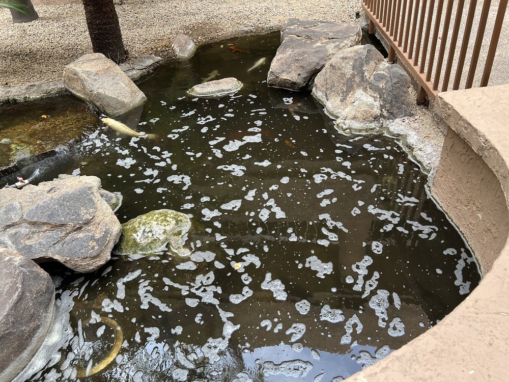 AZ Behavioral Health Specialists, LLC