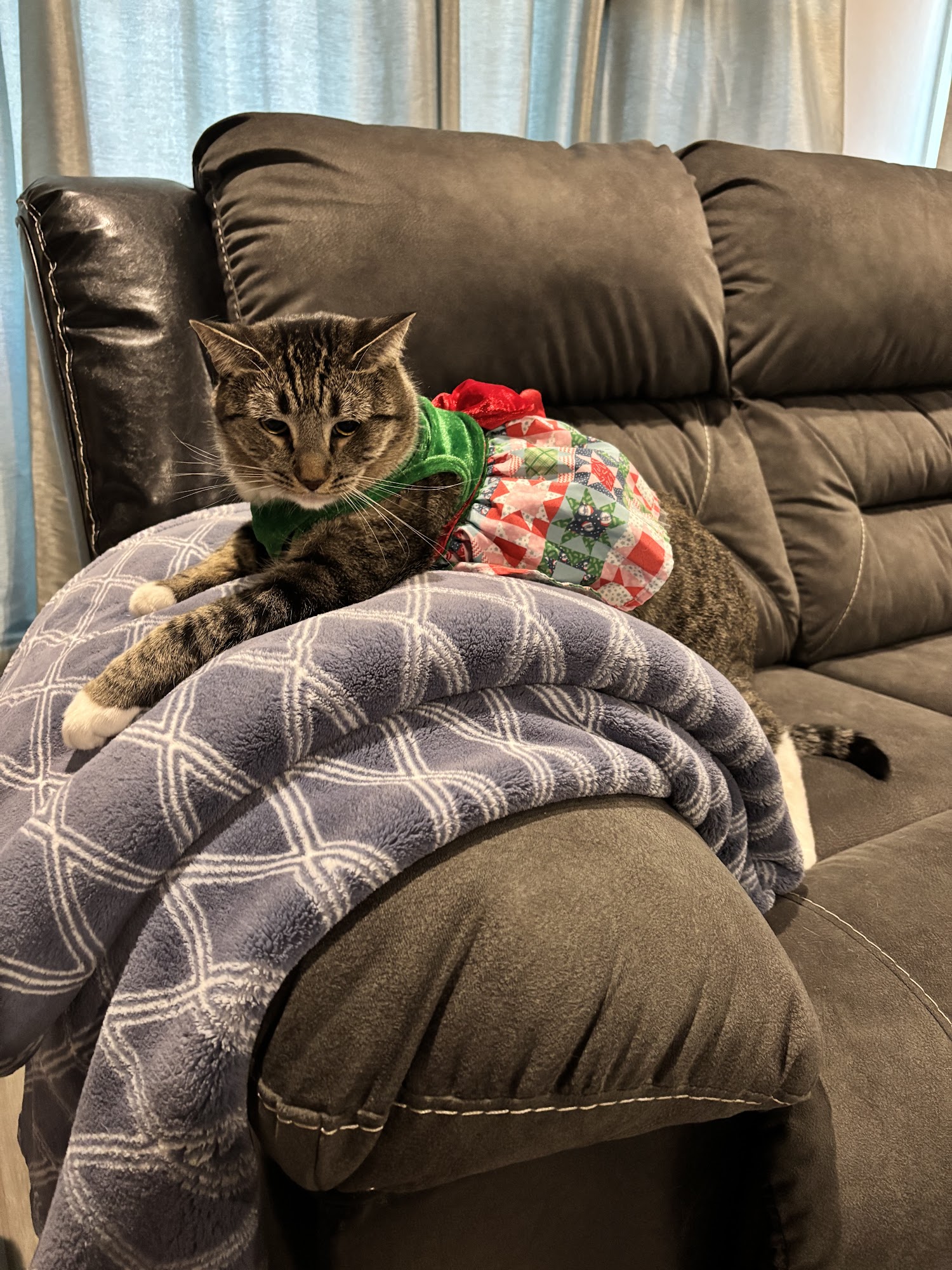 Heidi's Village Phoenix