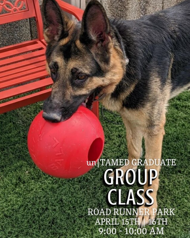 unTAMED Dog Co. Phoenix