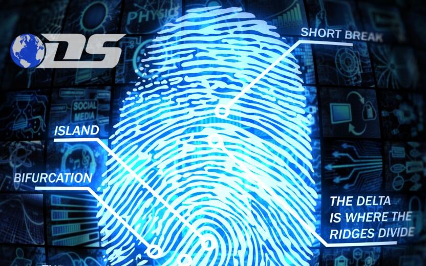 Discreet Services, Inc.