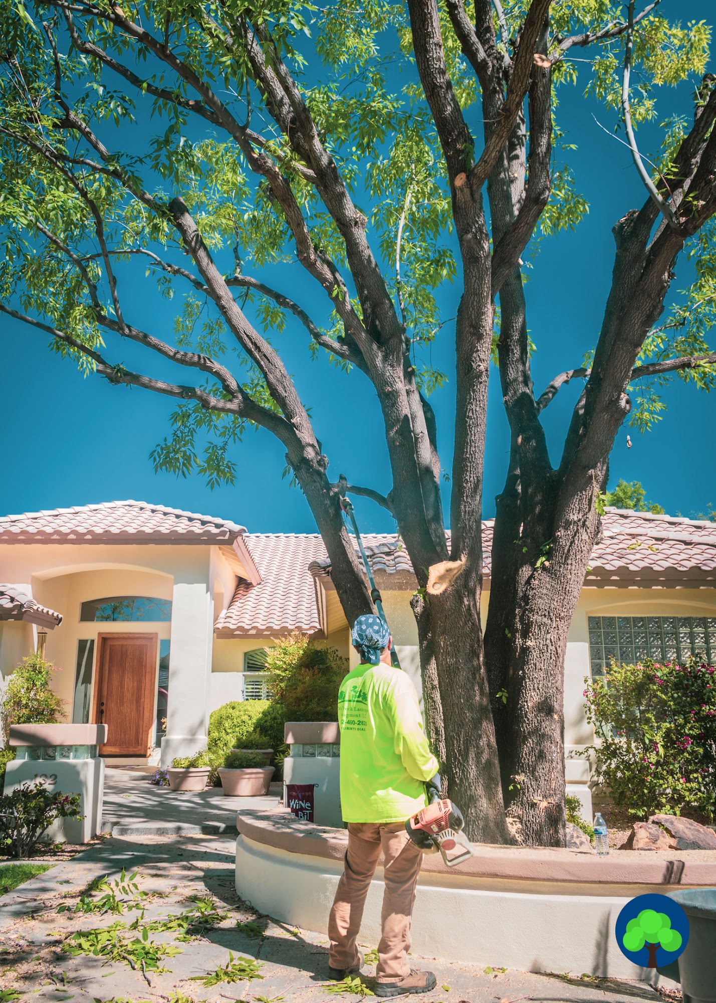 Diaz Tree and Landscape Management