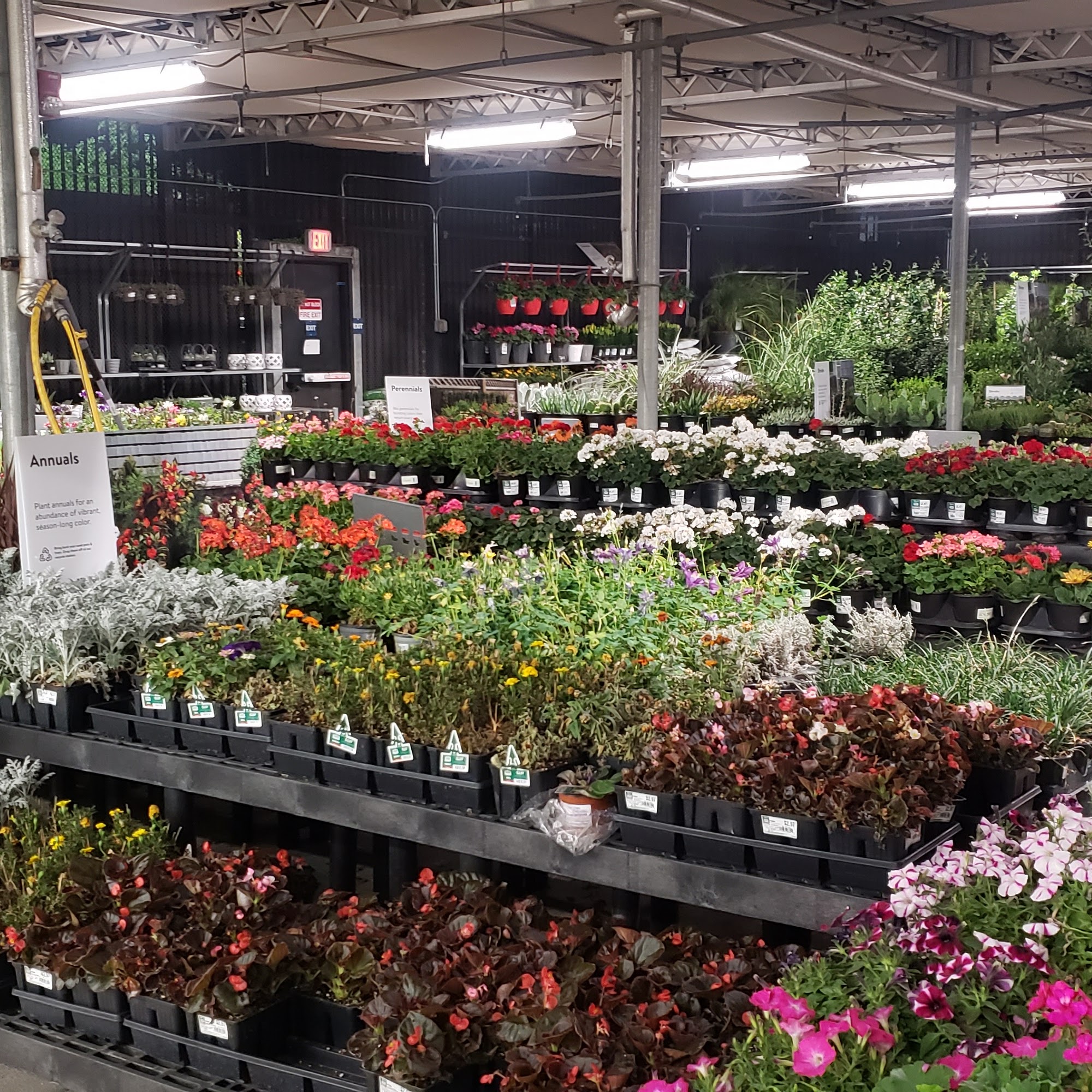 Walmart Garden Center