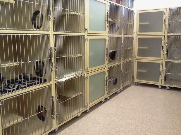Kachina Animal Hospital Prescott Valley