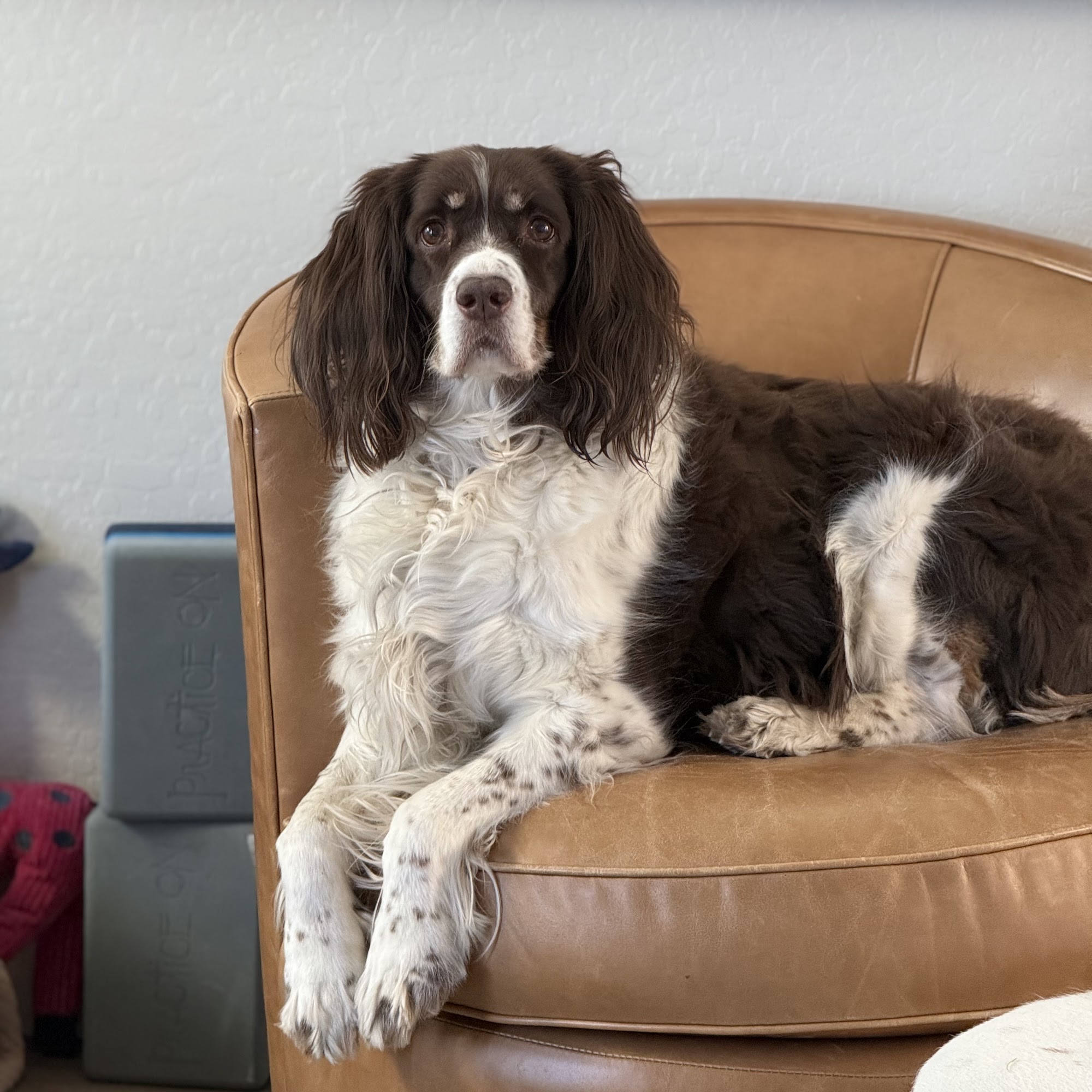 Premier Prescott Valley Prescott Valley