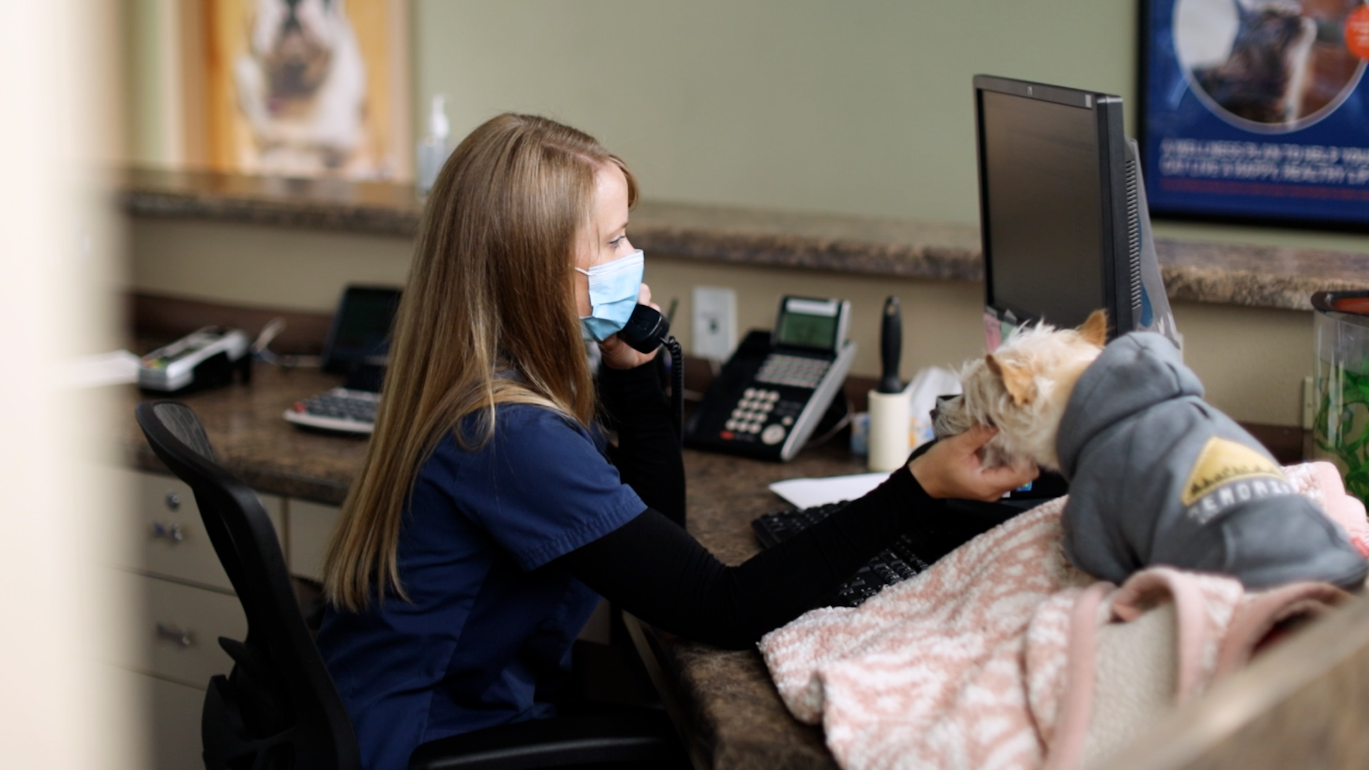 VCA Thumb Butte Animal Hospital Prescott