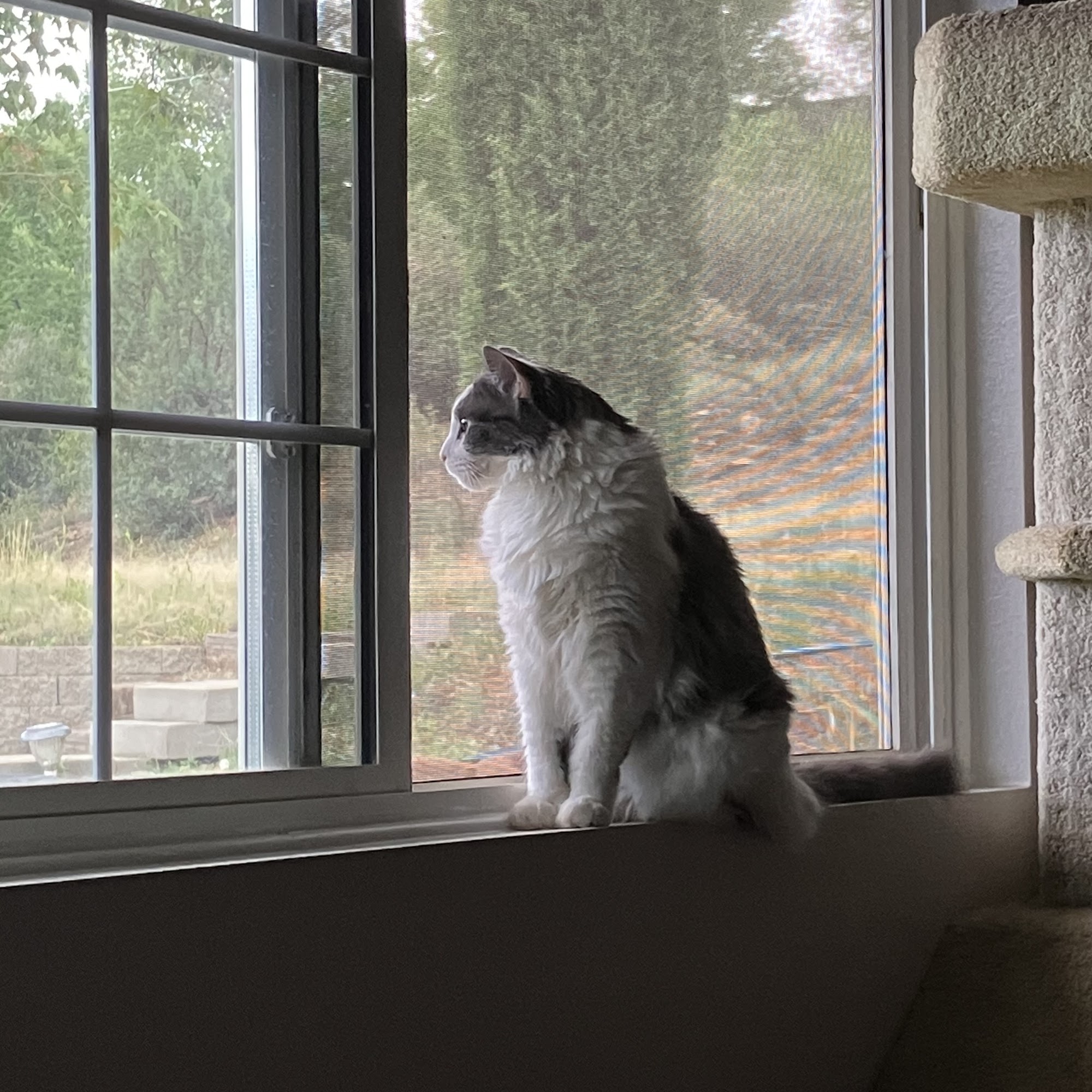 Harmony Veterinary Care Prescott