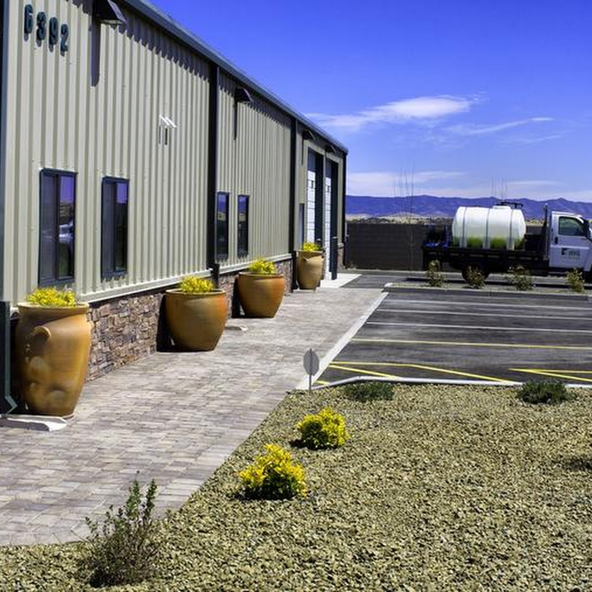 Praying Mantis Pest & Weed Control