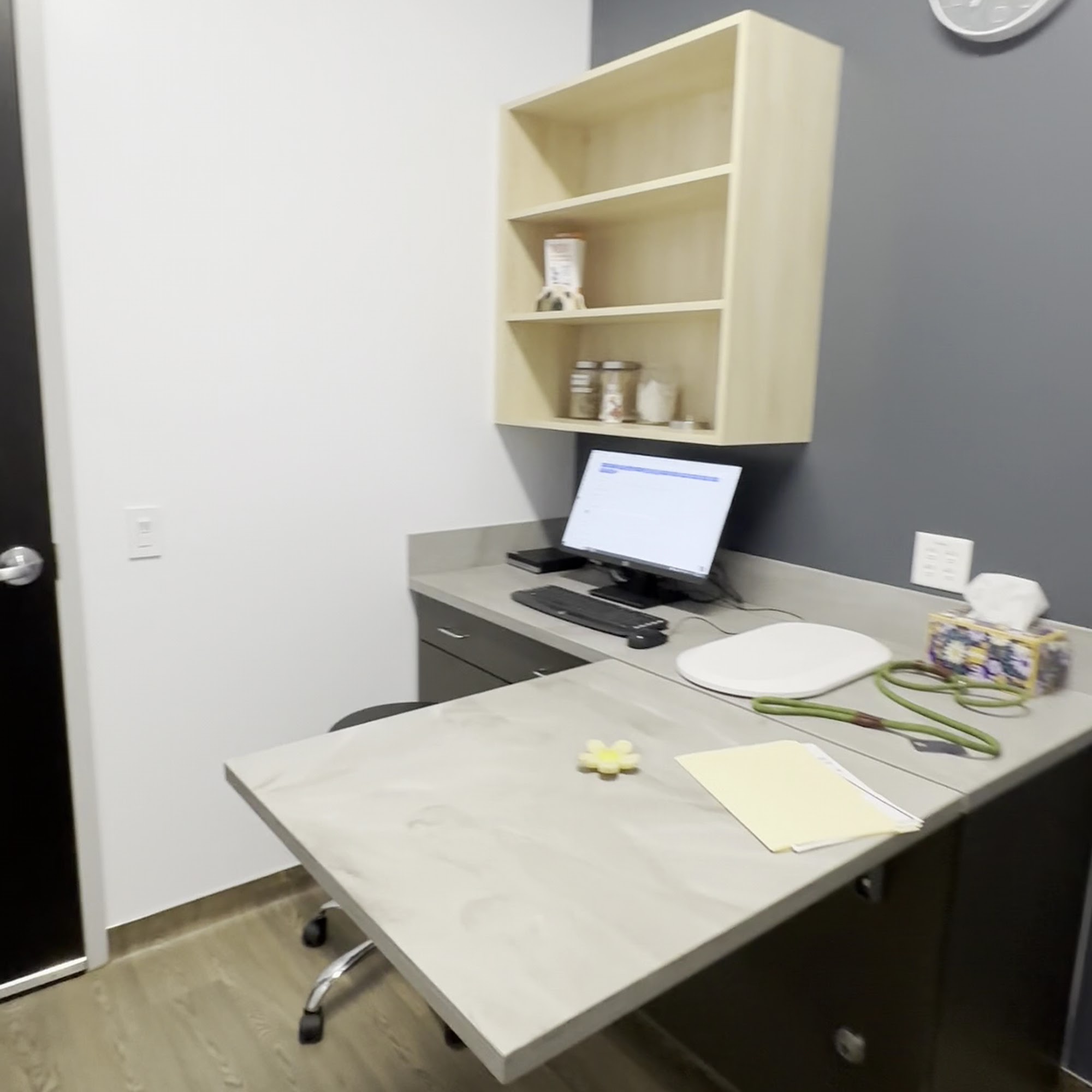 Queen Creek Veterinary Clinic Queen Creek