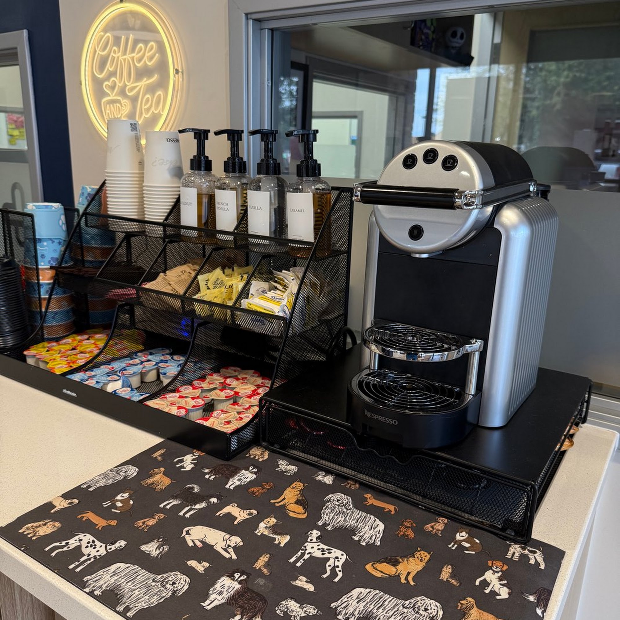 CityVet | Queen Creek Queen Creek