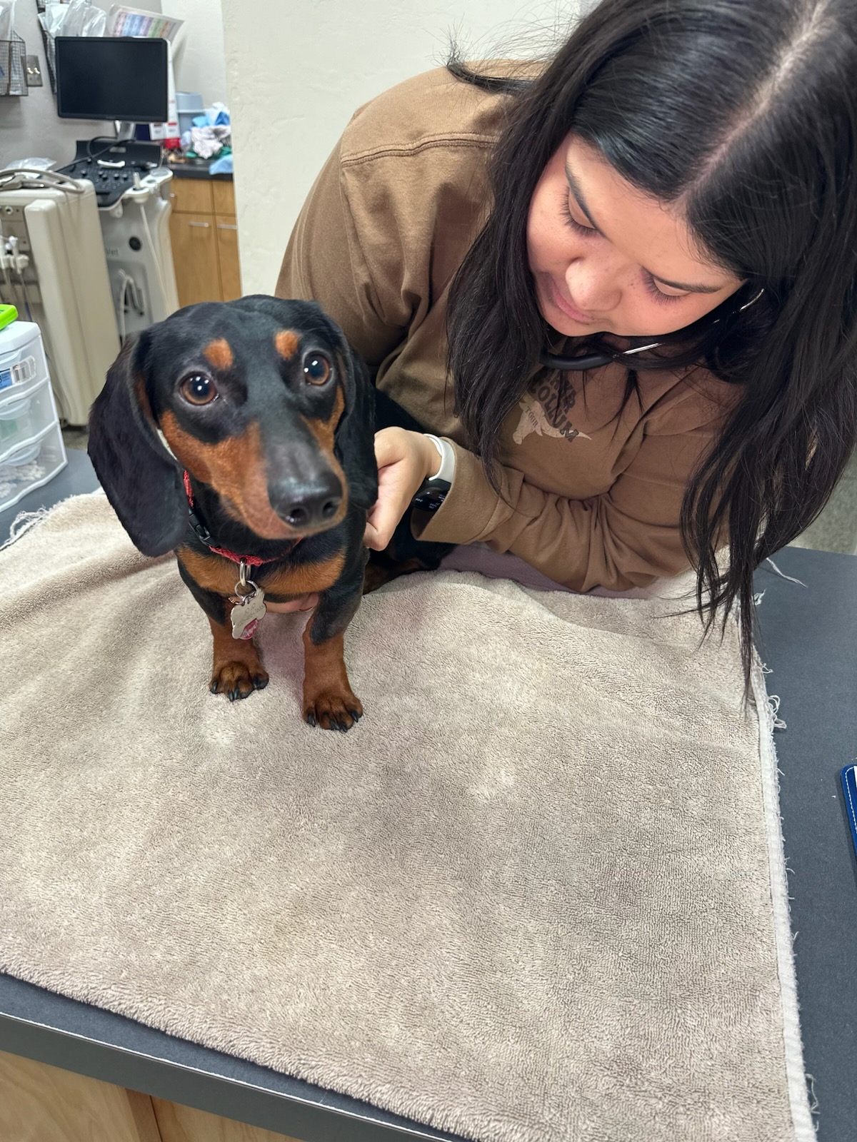 VCA Valley Animal Hospital of Sahuarita Sahuarita