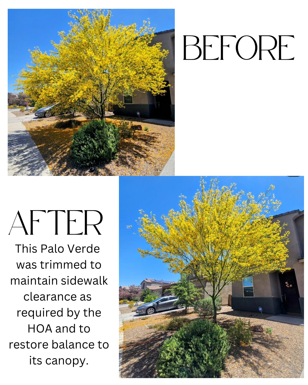 Monstrosity Tree Service LLC