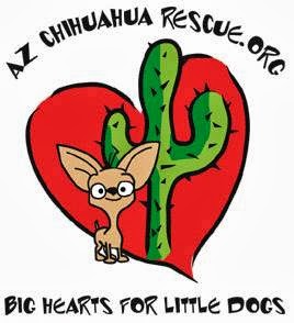 H & H Pet Services LLC San Tan Valley