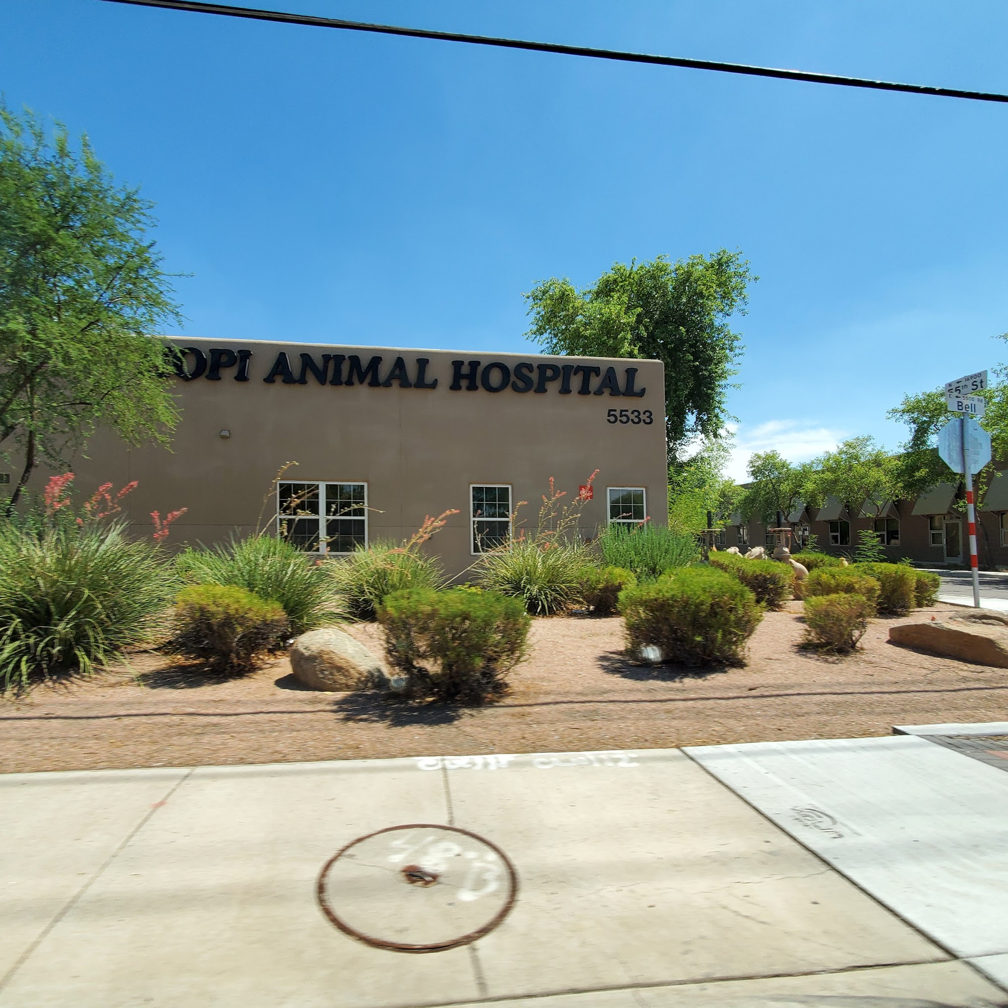 Hopi Animal Hospital Scottsdale