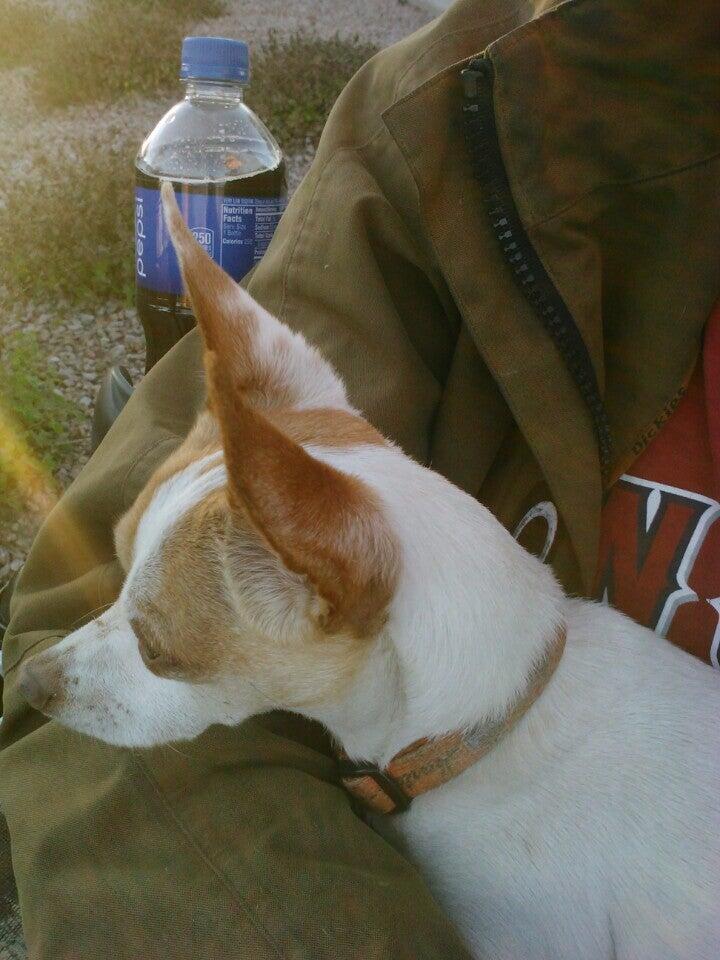 Photo credit: nextdoor