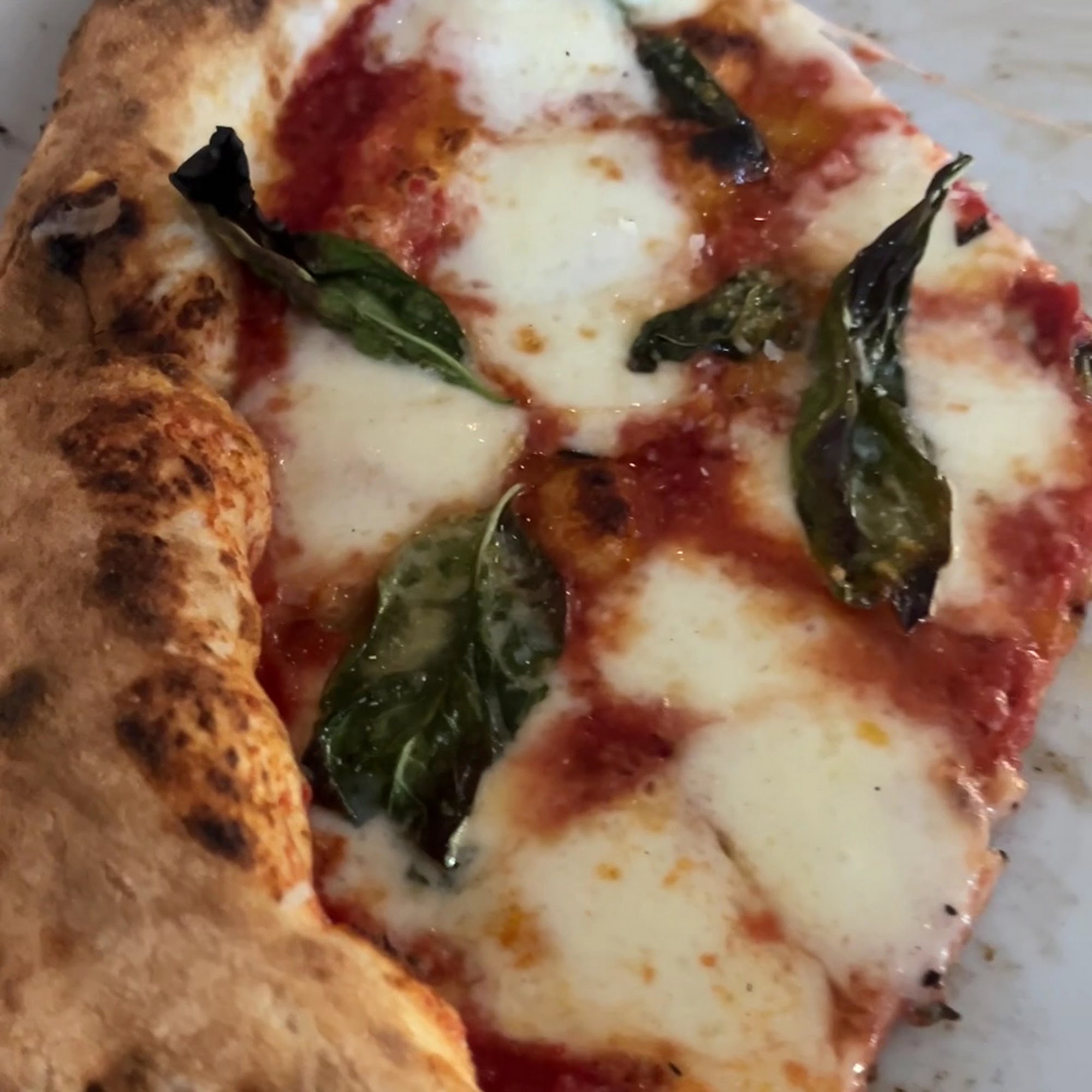 Pizzería Virtu Scottsdale