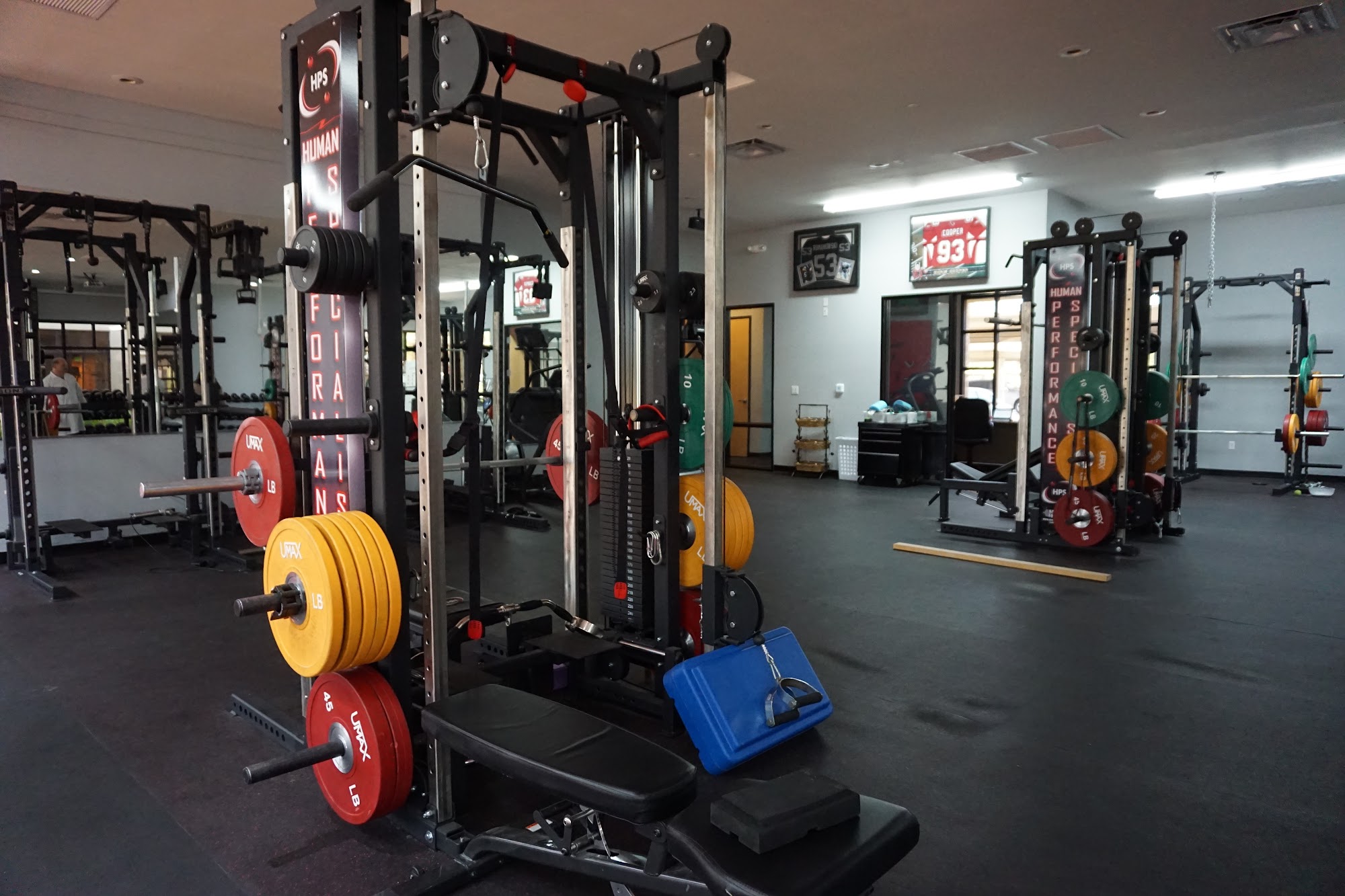 Causenta Wellness