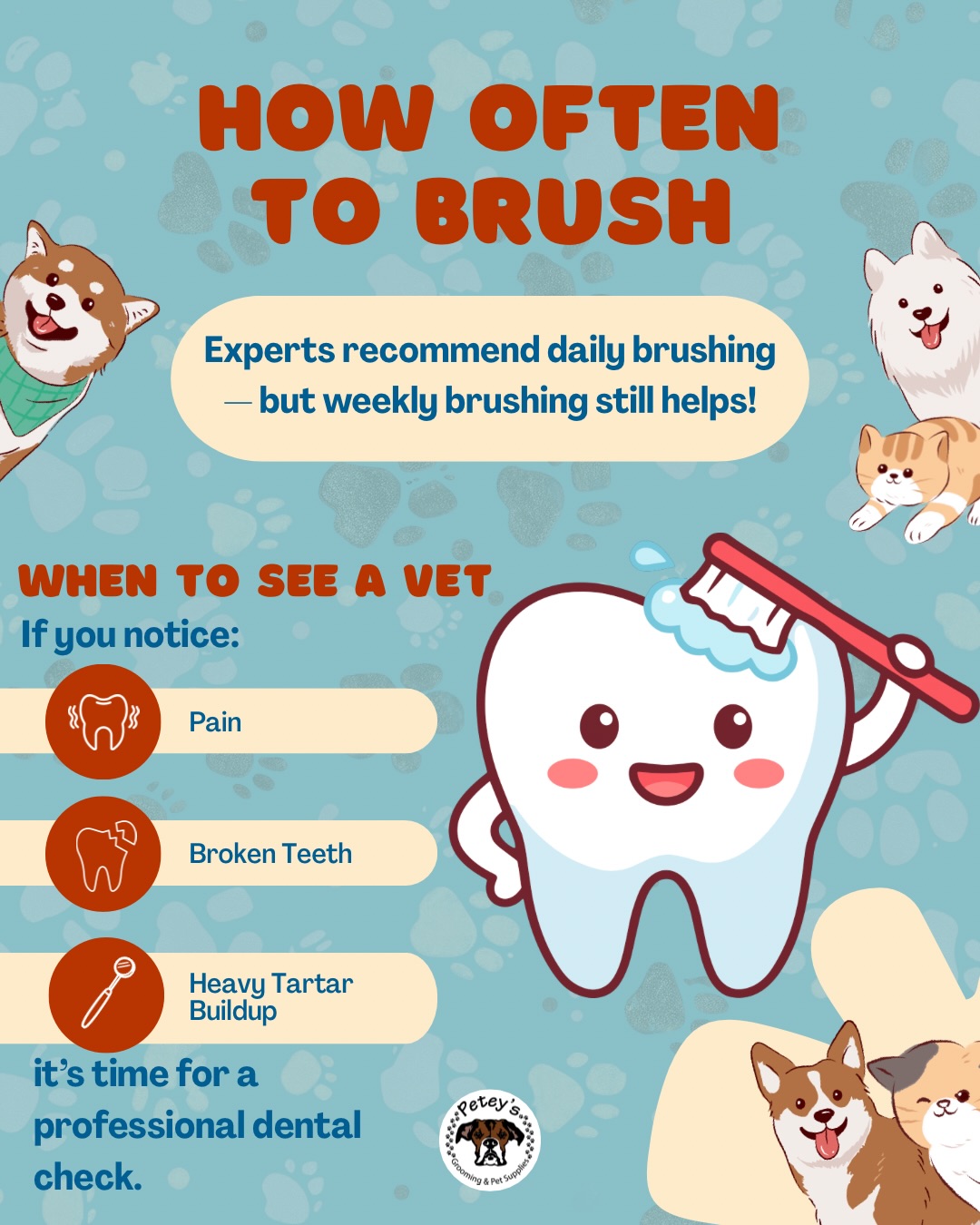 Petey's Grooming & Pet Supplies Scottsdale