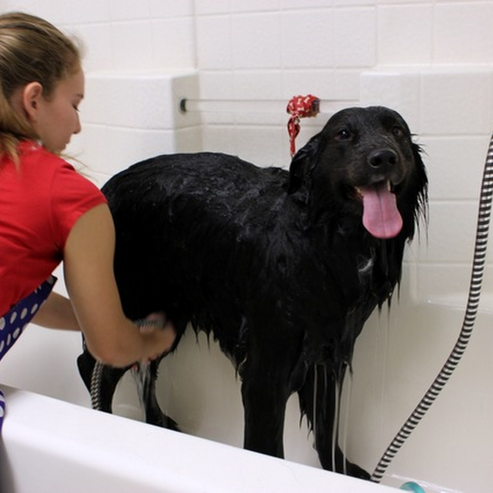 Grooming At Grayhawk Scottsdale