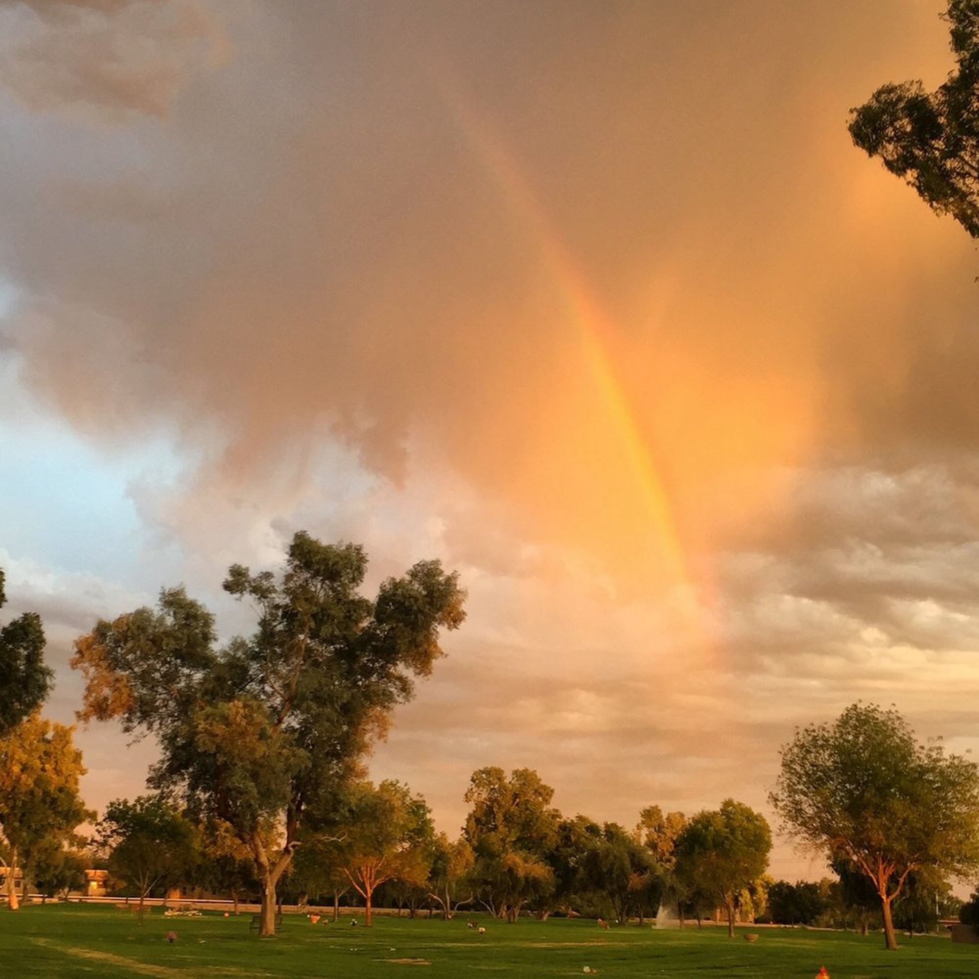 Paradise Memorial Gardens Scottsdale