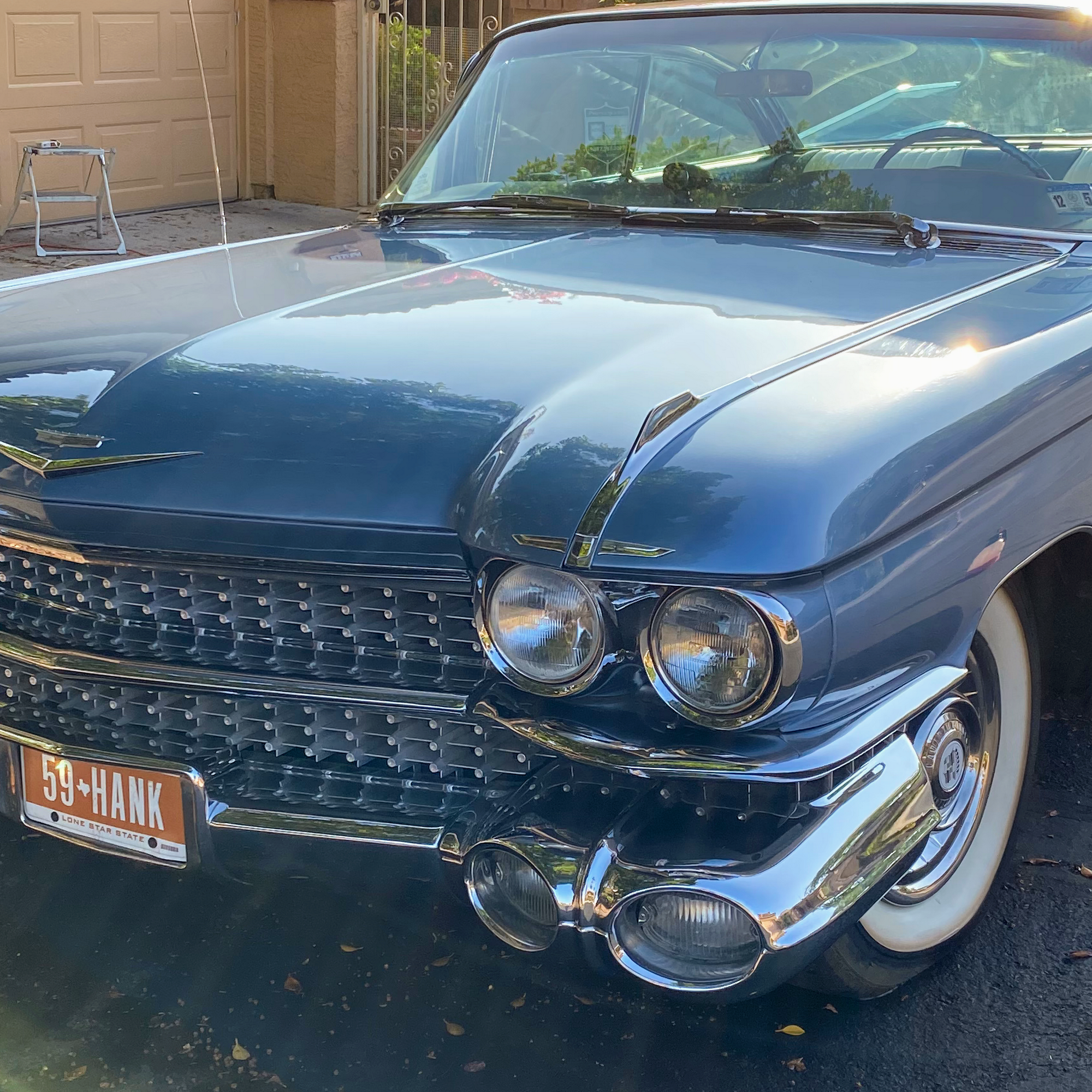 OrangeTree Auto Detailing