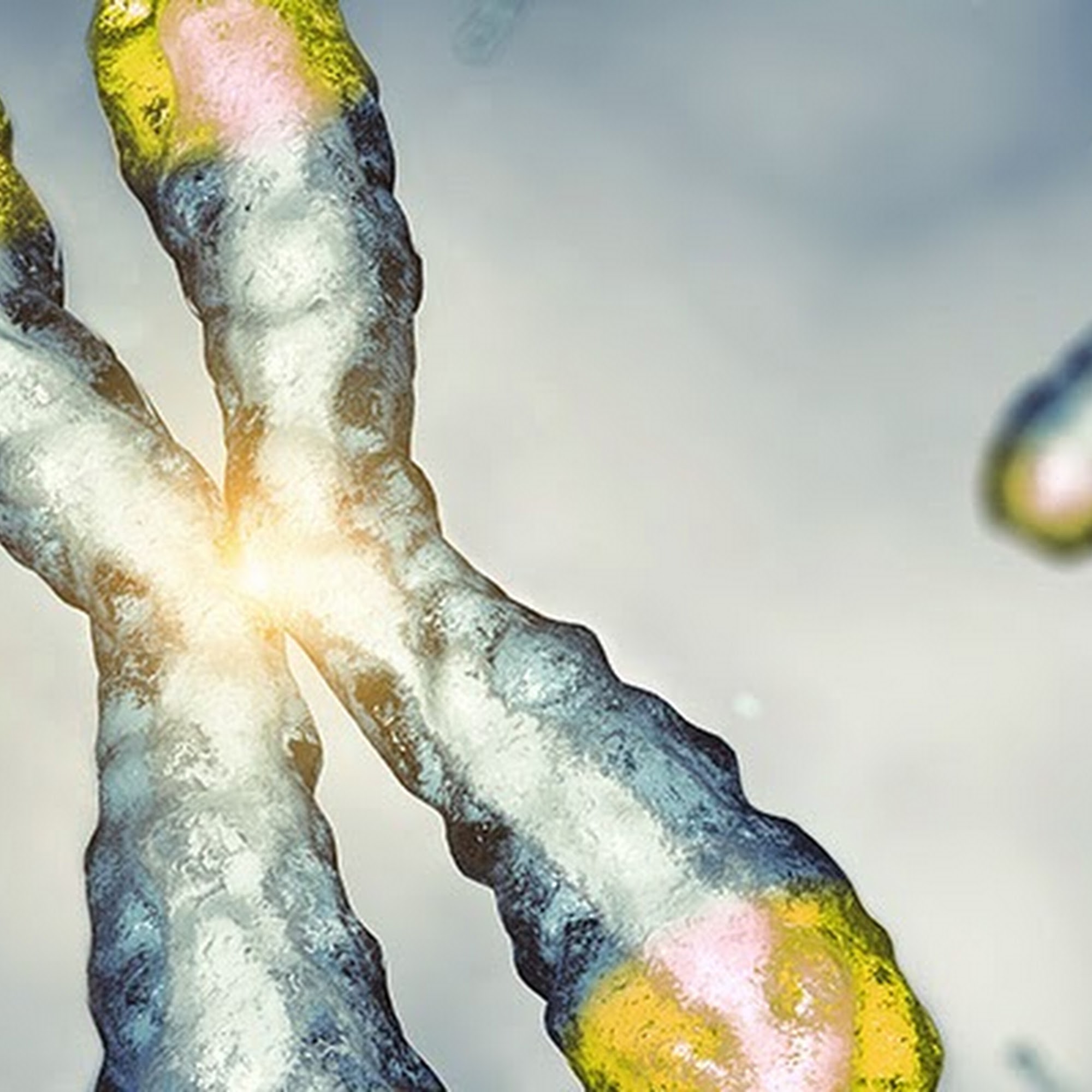 T.A. Sciences, Inc. Scottsdale