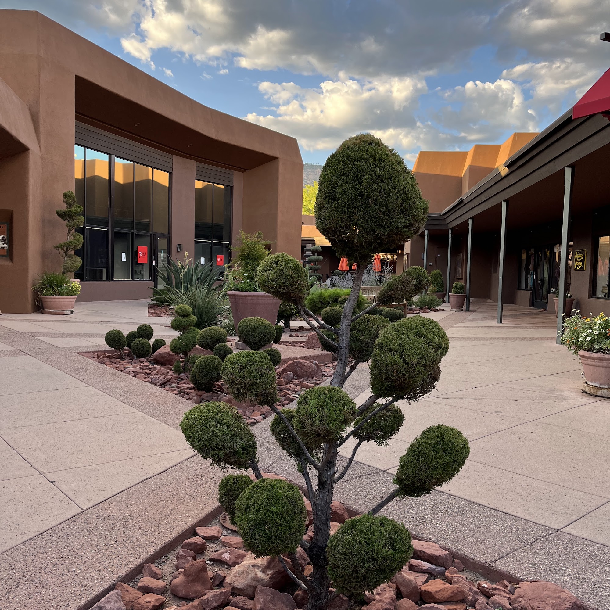 The Art of Wine Sedona
