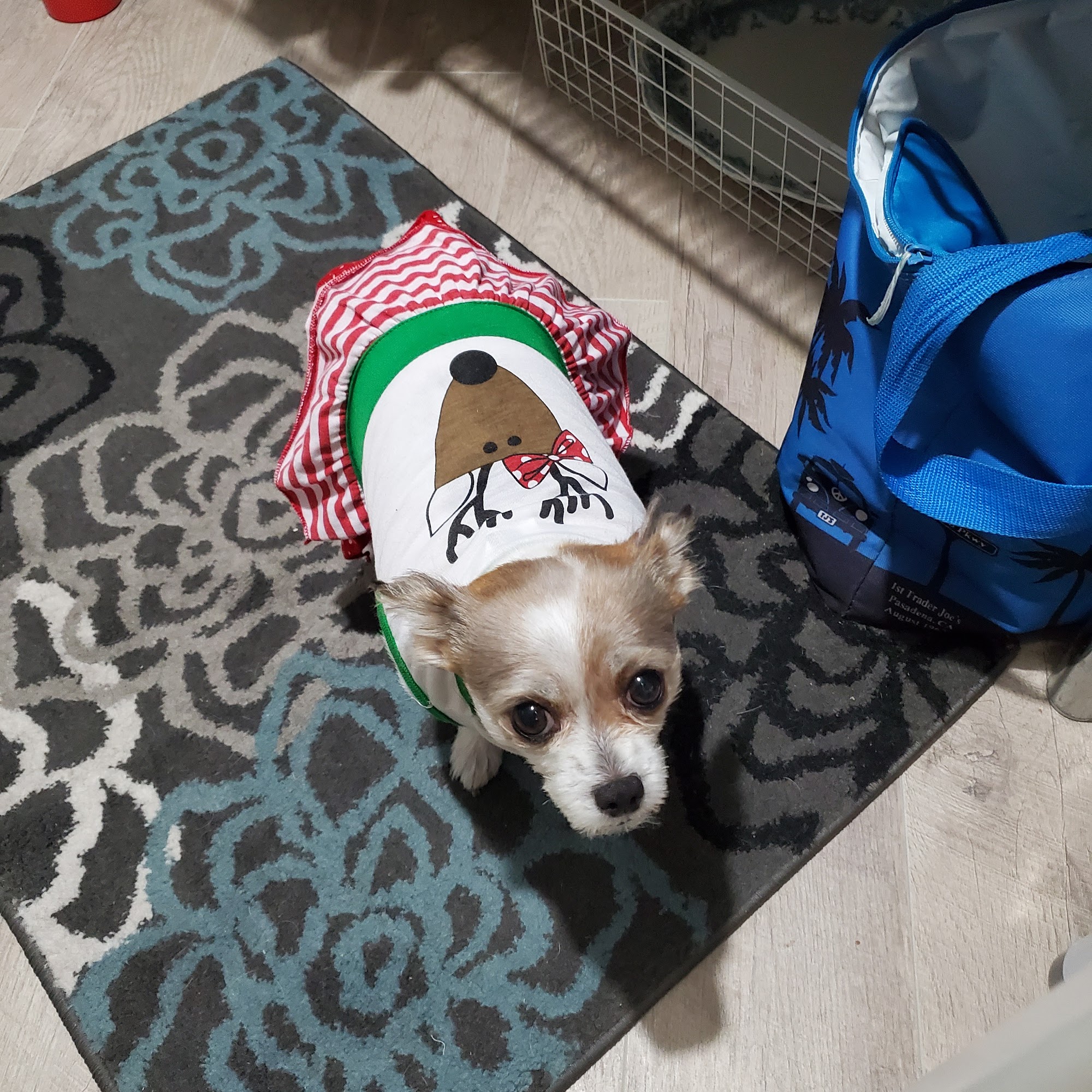 Oak Creek Small Animal Clinic Sedona