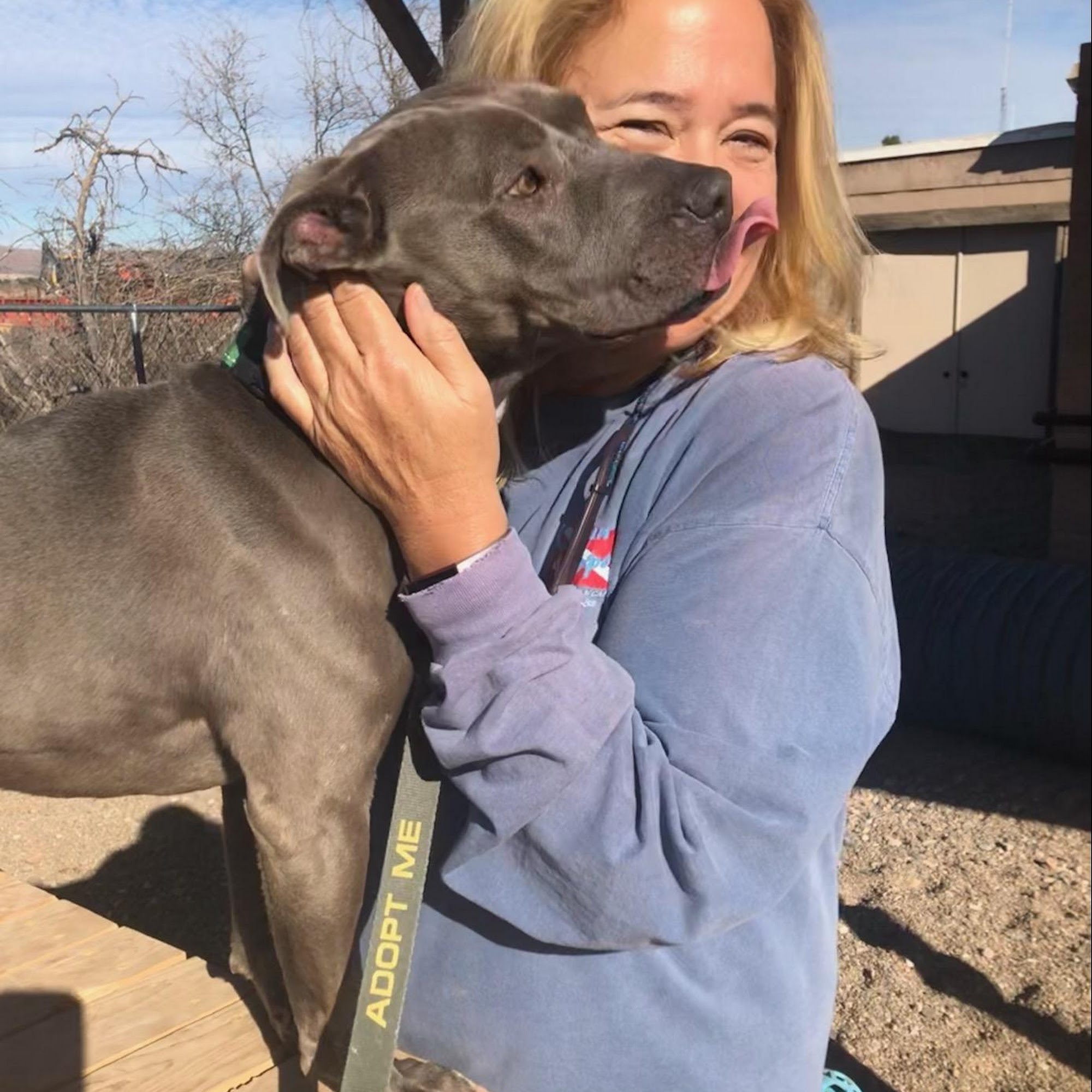 Bell Rock Veterinary Clinic Sedona