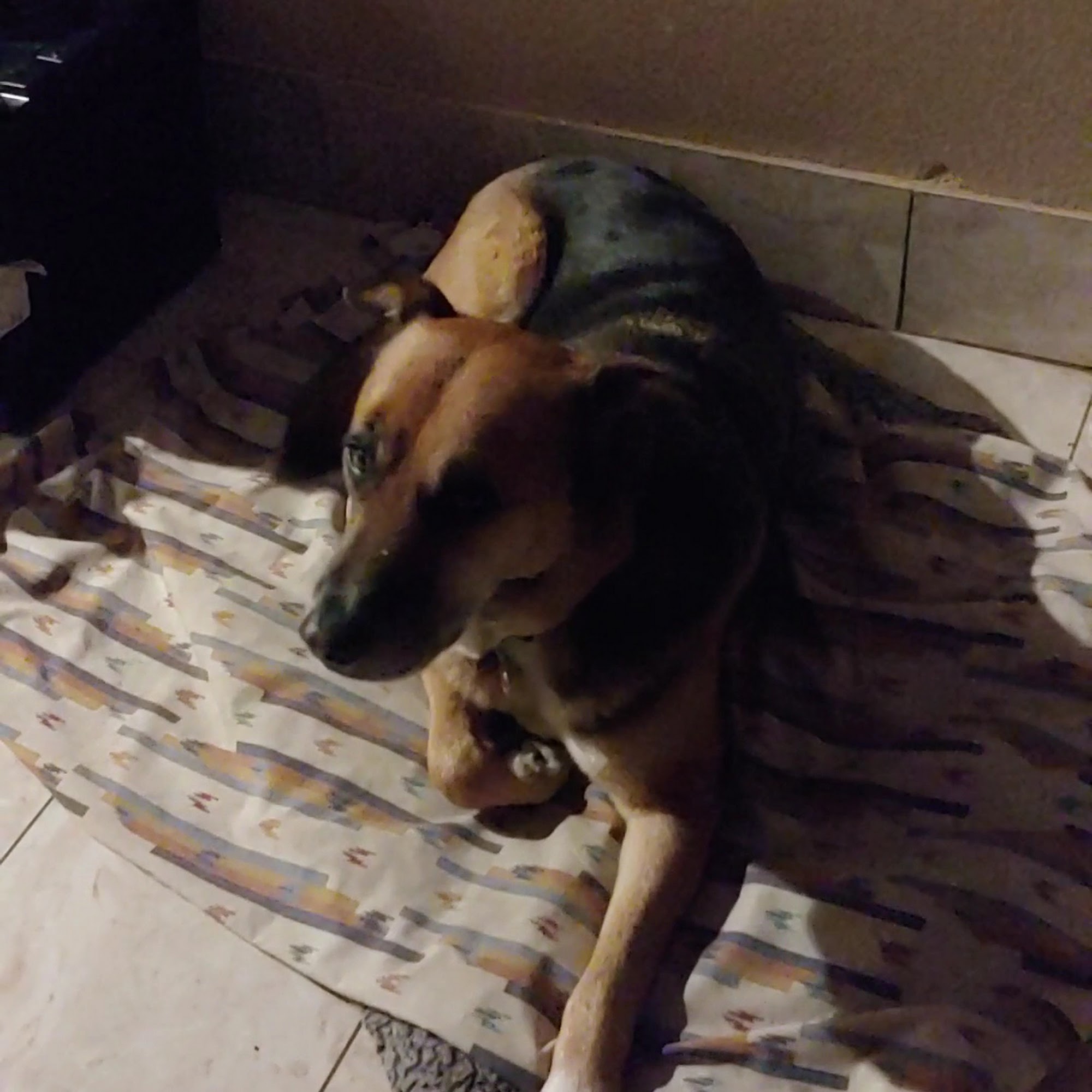 Humane Society of Sedona Inc Sedona