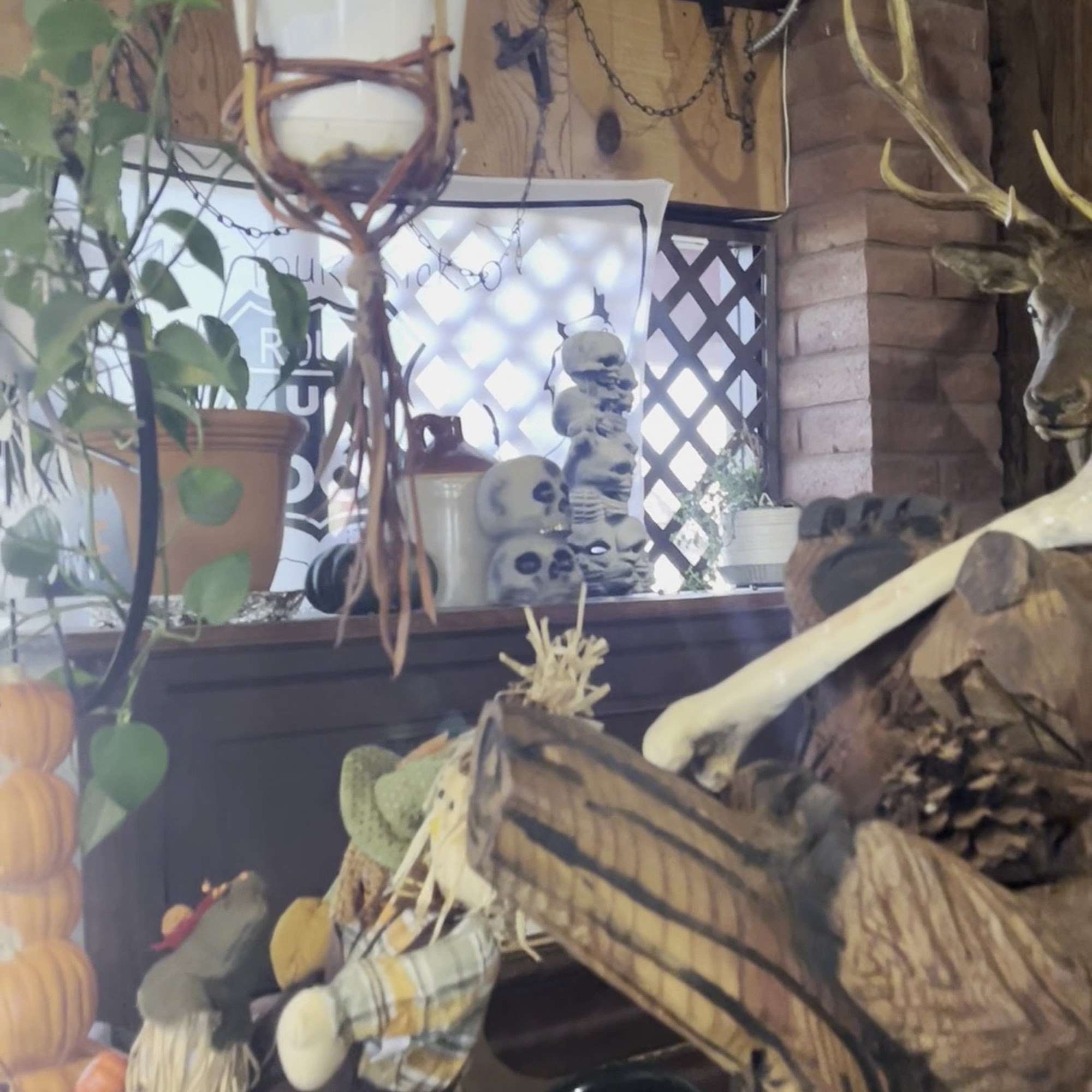 The Roadkill Cafe/O.K. Saloon Seligman