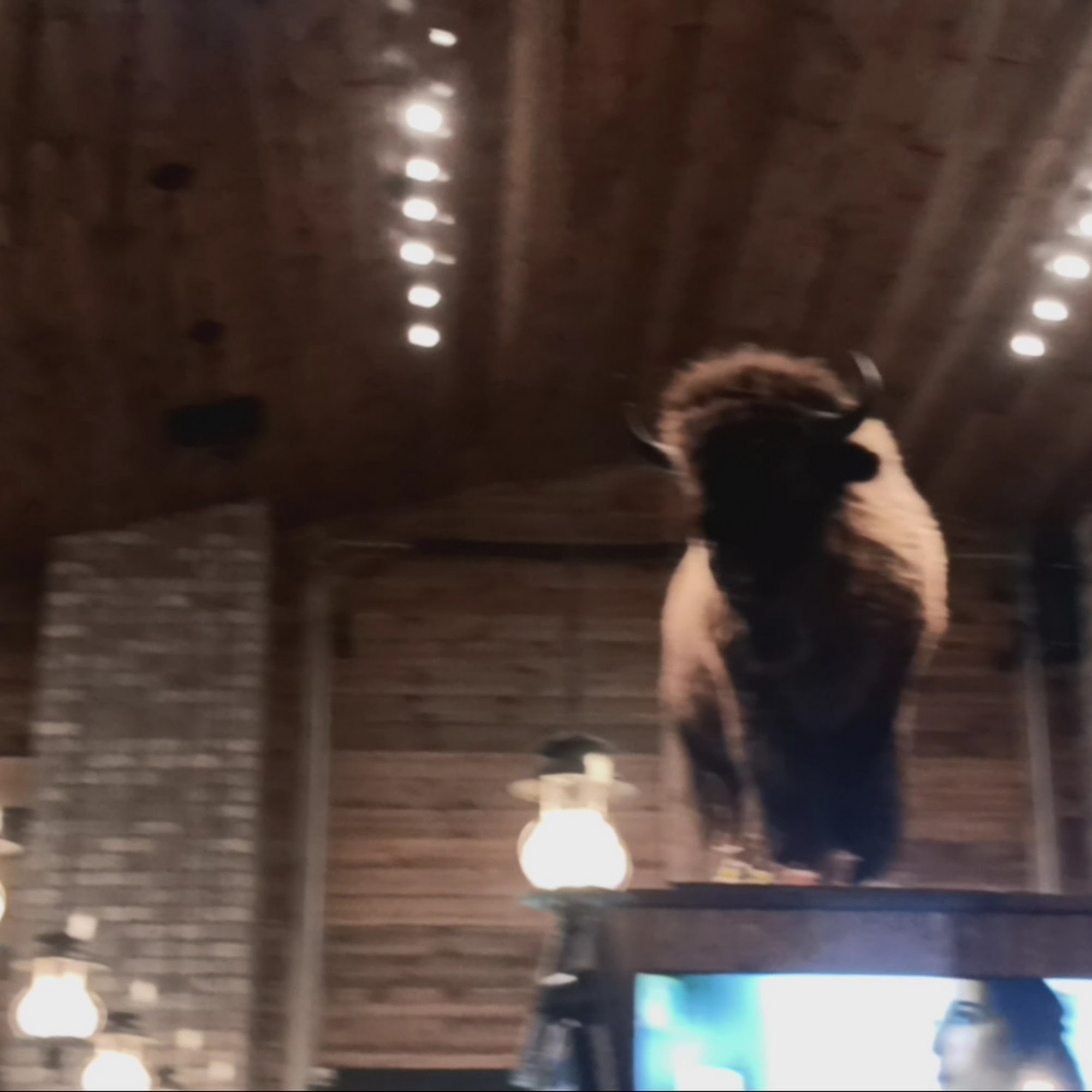 Buffalo Bill's Entertainment (Tavern, Museum, Tap Room and More) Show Low