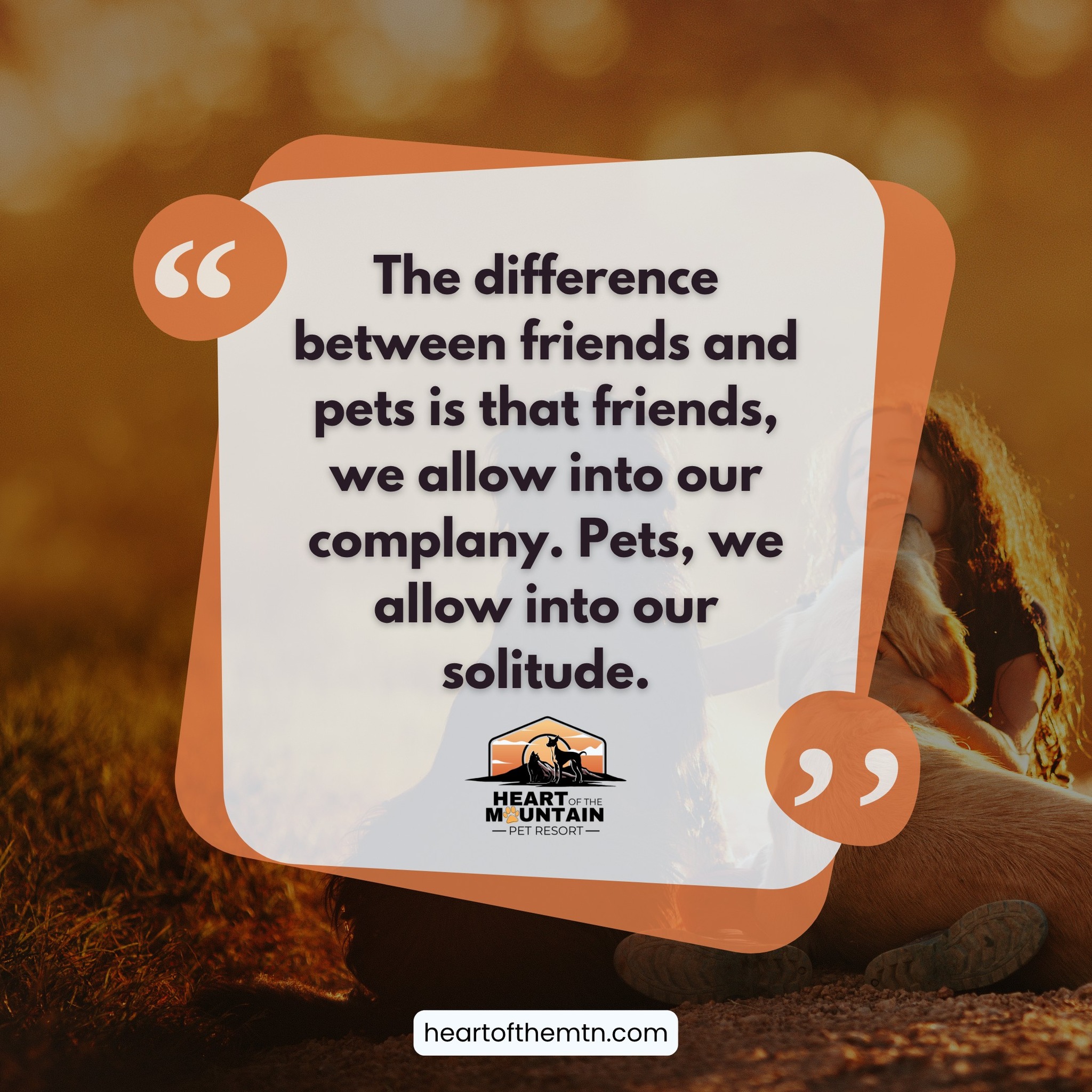 Heart of the Mountain Pet Resort Show Low