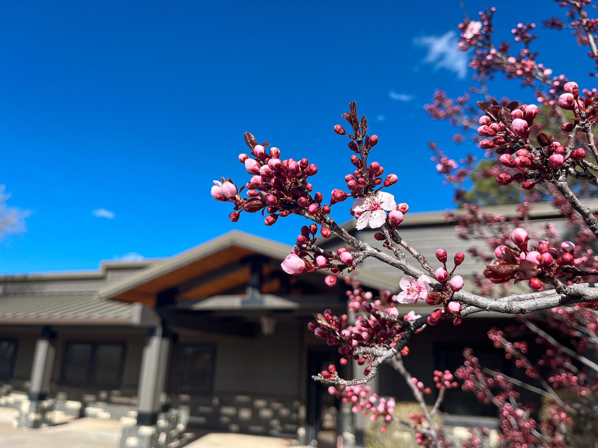 Meadow Creek Smiles (Formerly Dental Spa At Meadowcreek)