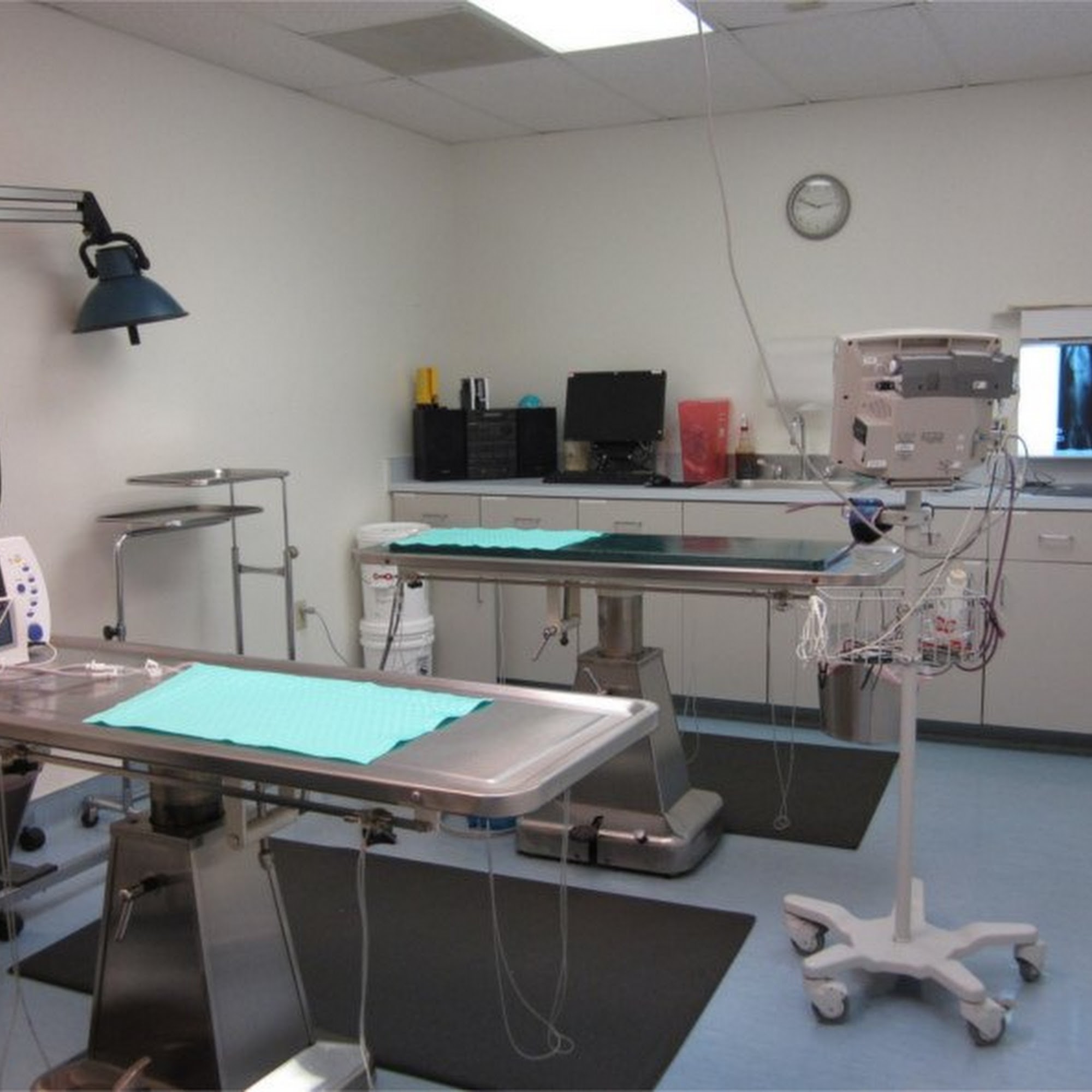 Coronado Veterinary Hospital Sierra Vista