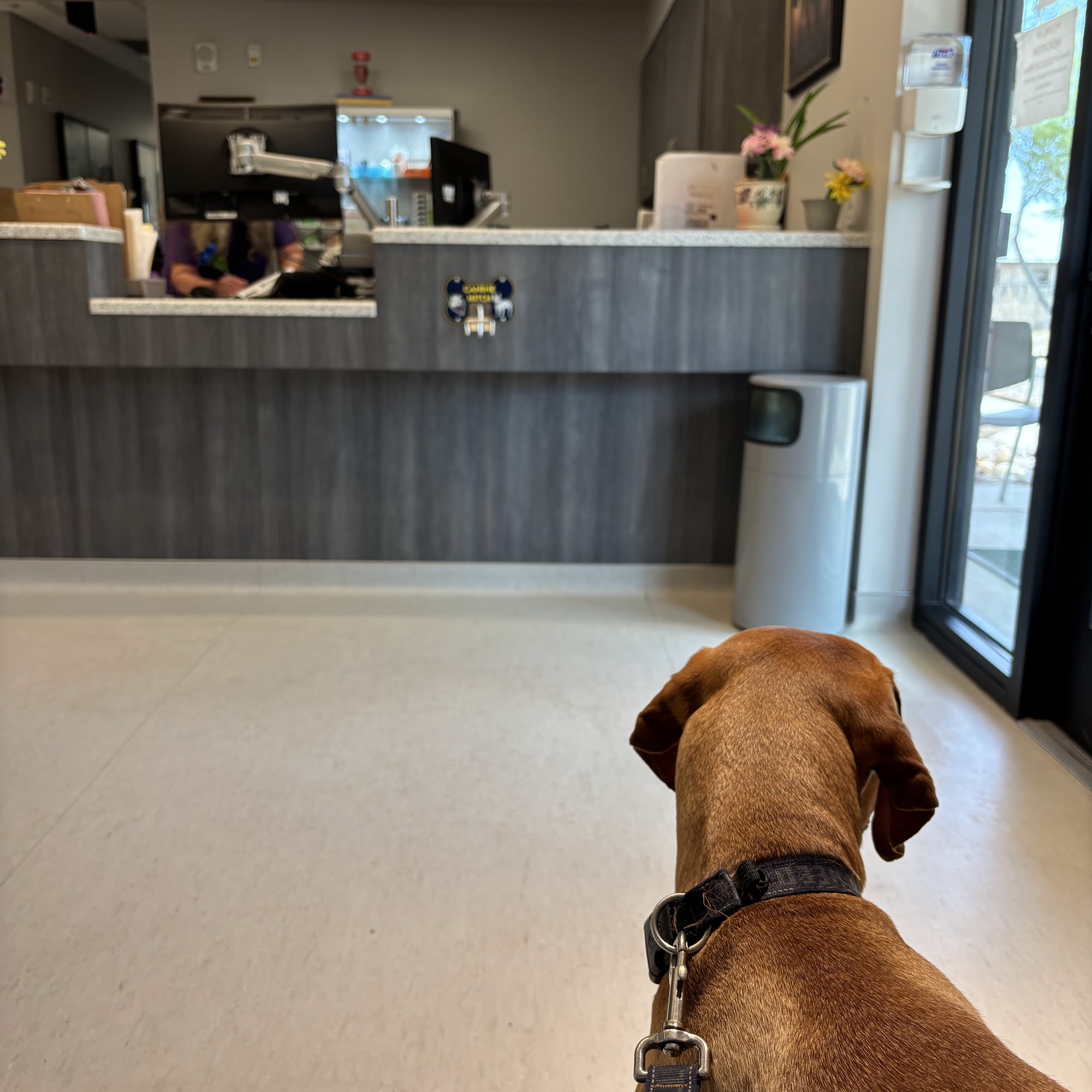 Fort Huachuca Veterinary Clinic Sierra Vista