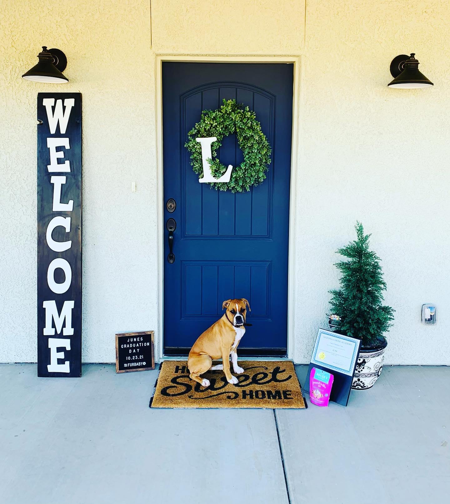 Arizona Dog Training