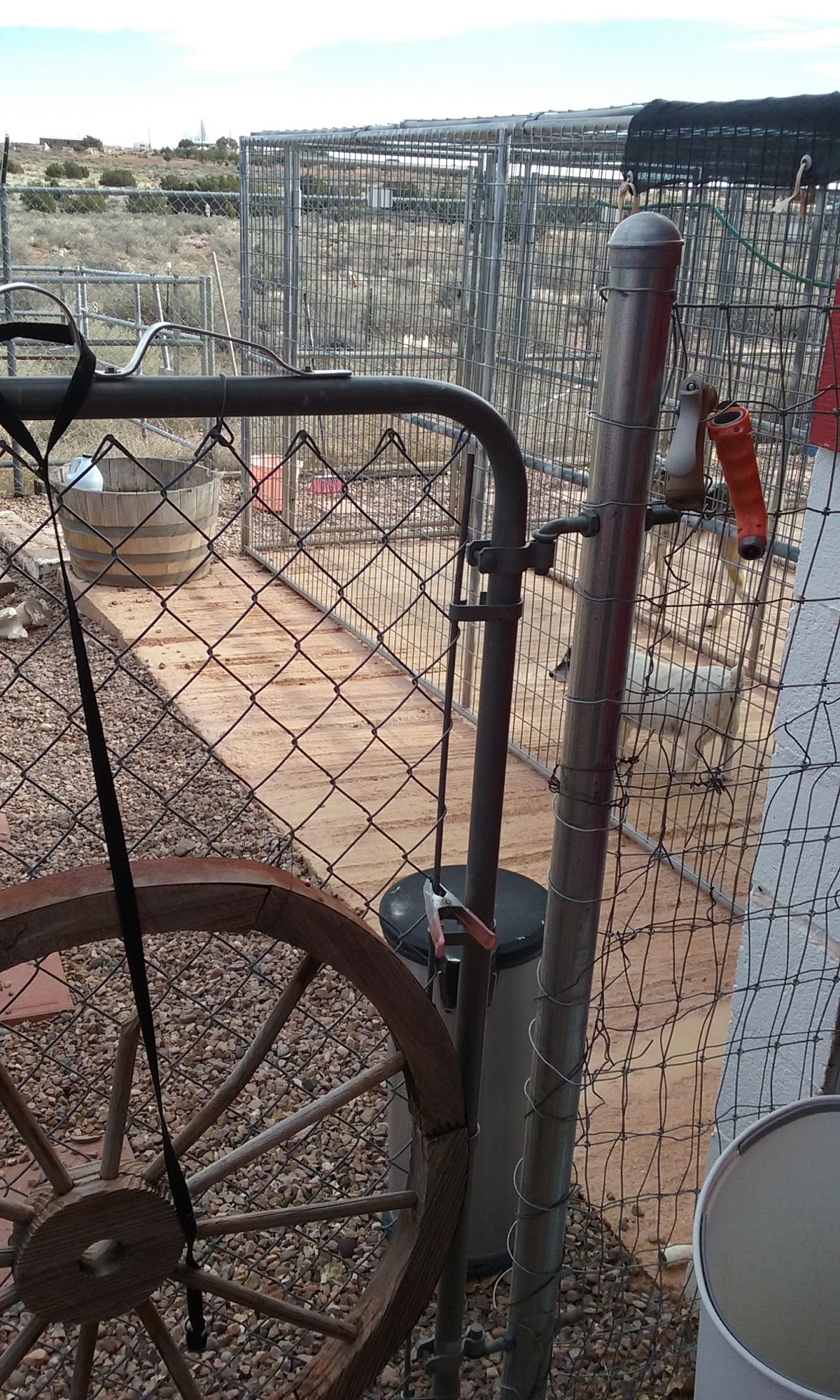 White Mountain K-9 Camp, LLC Snowflake