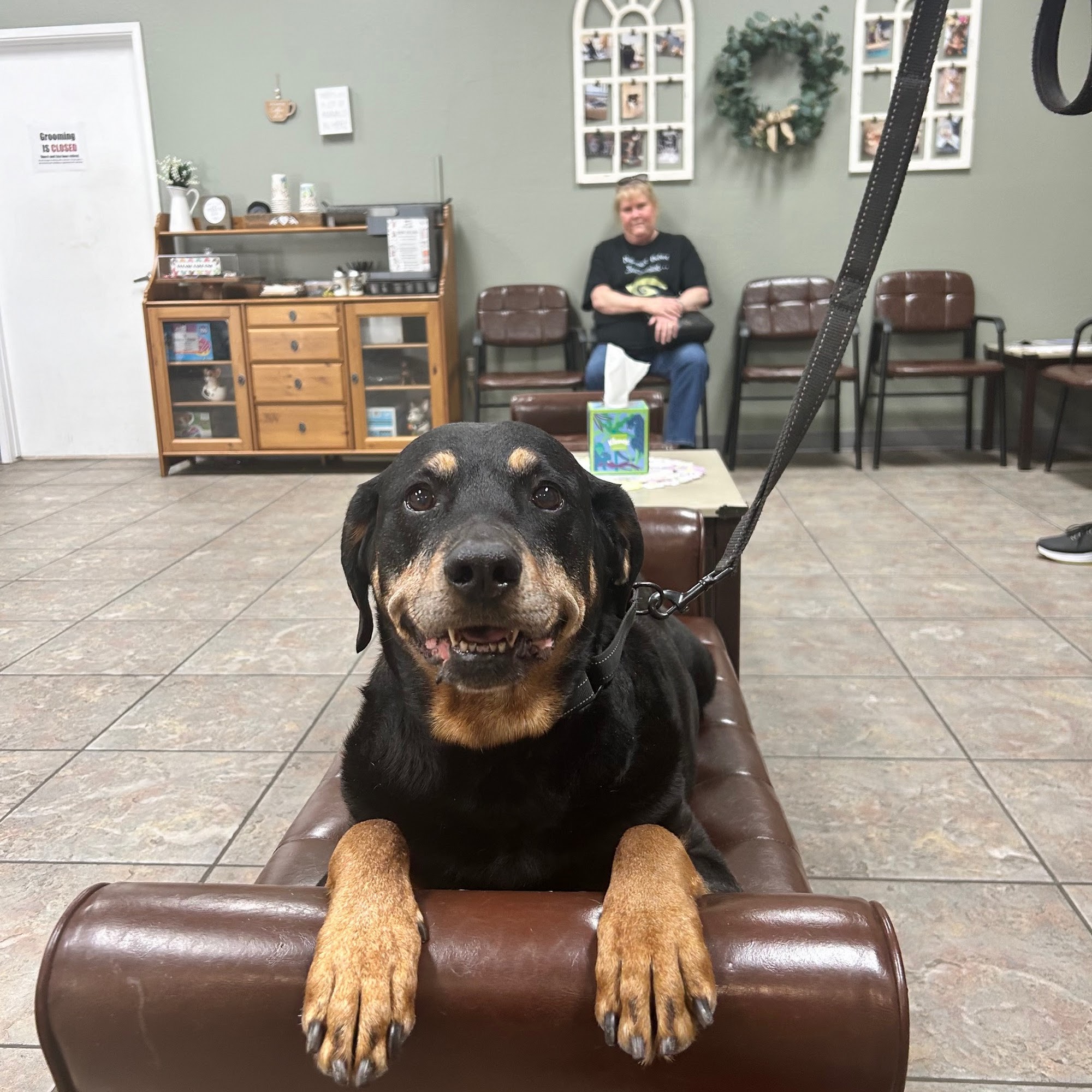 Sun City West Animal Hospital Sun City West