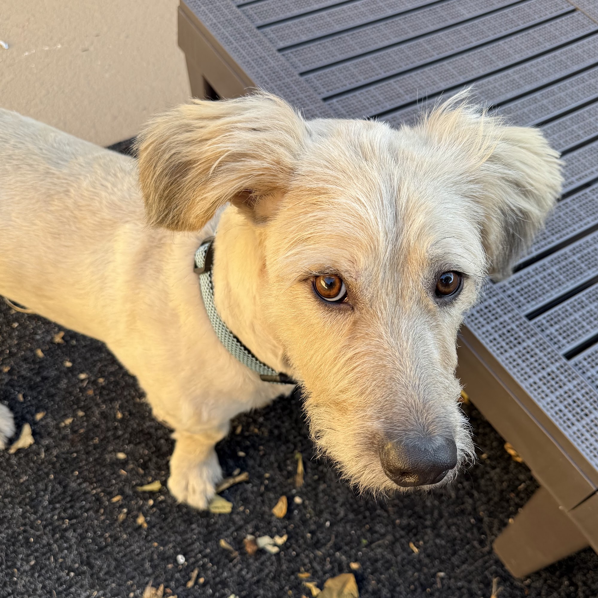 A Loving Touch Sun City