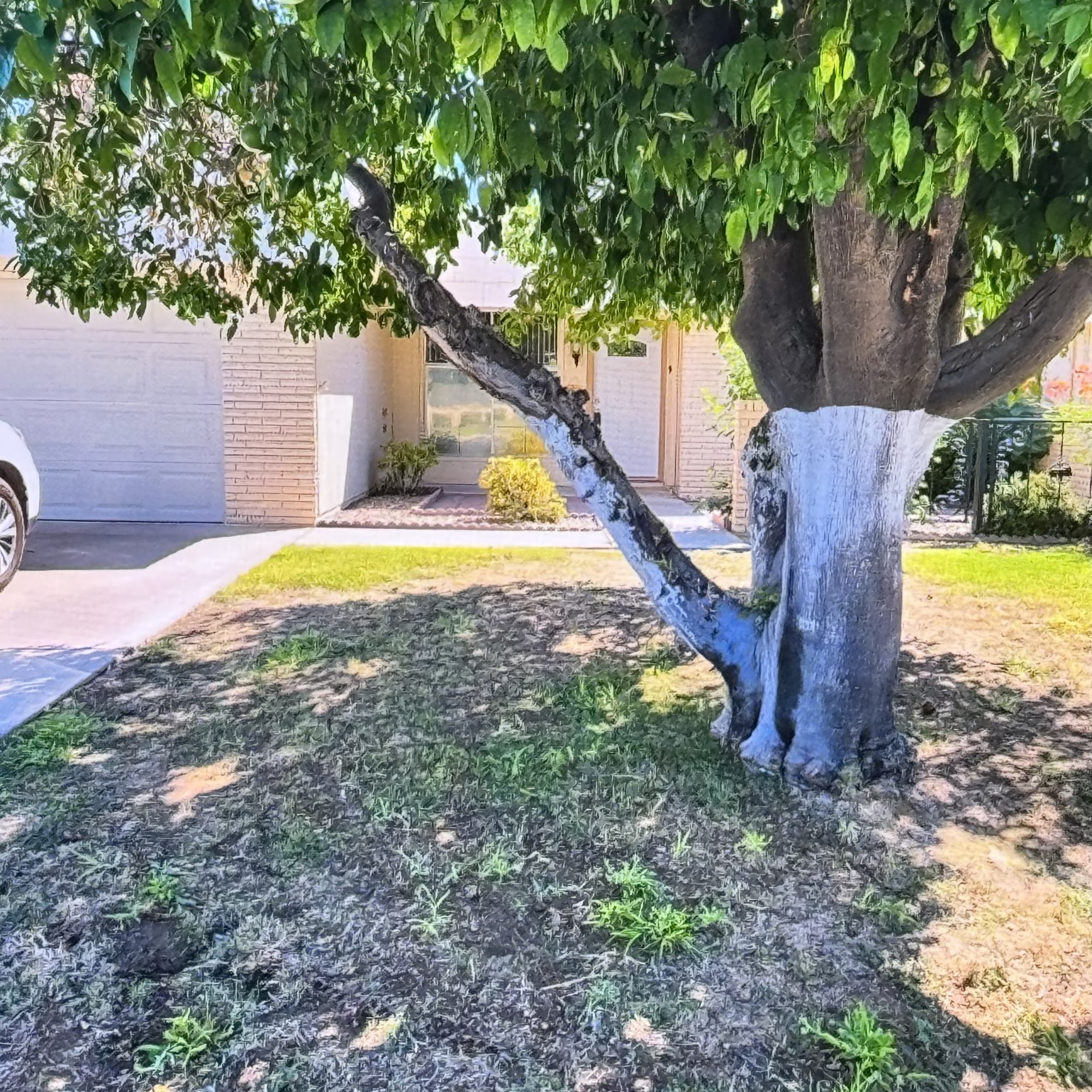 Colby Management Sun City