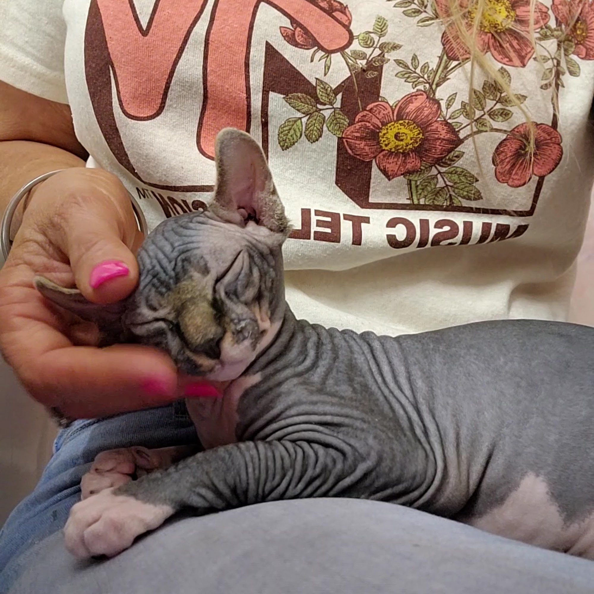 Grand Paws Animal Clinic Surprise