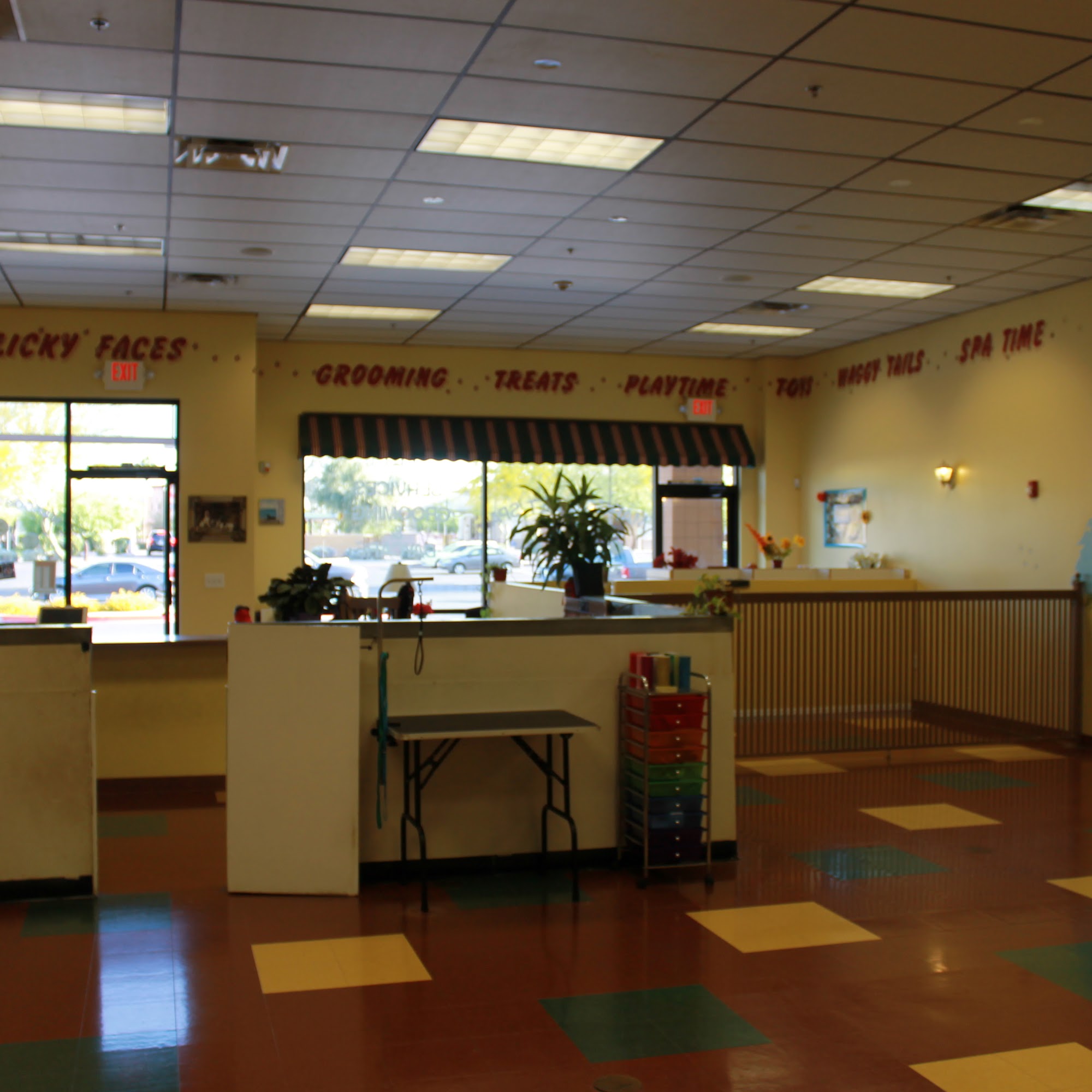 Margo's Pet Spa Surprise