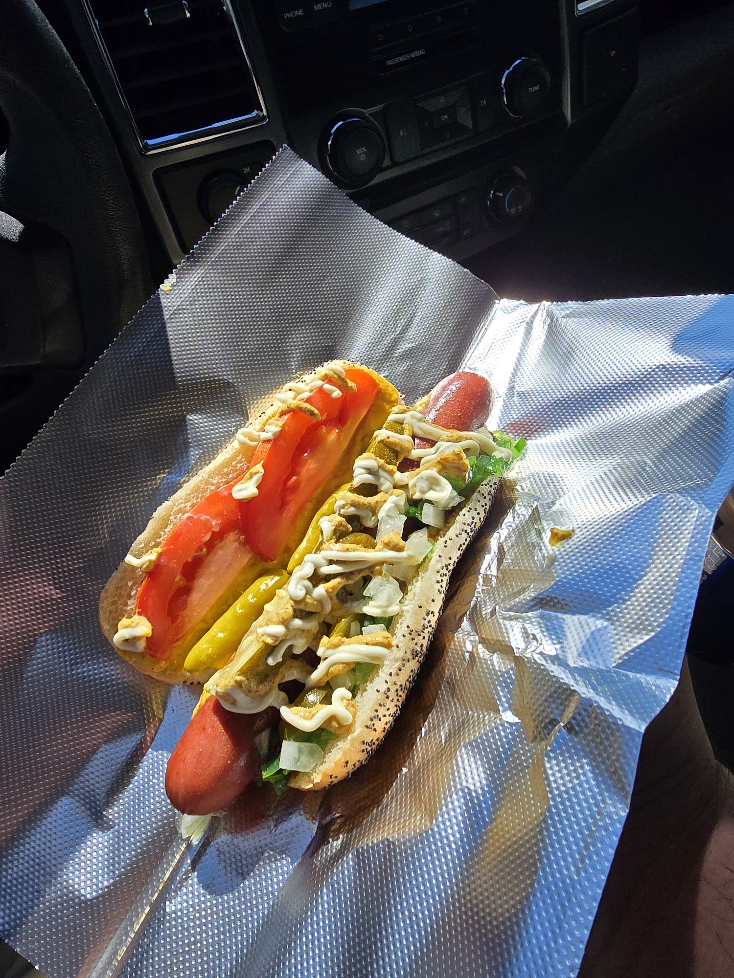 Scrunch Dawgs Surprise