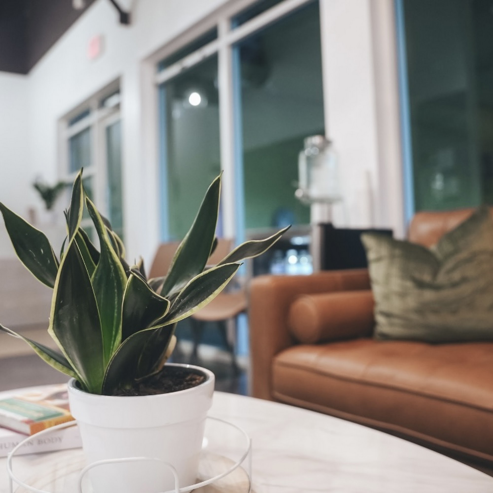 House of Zen 11340 W Bell Rd # 116, Surprise Arizona 85378