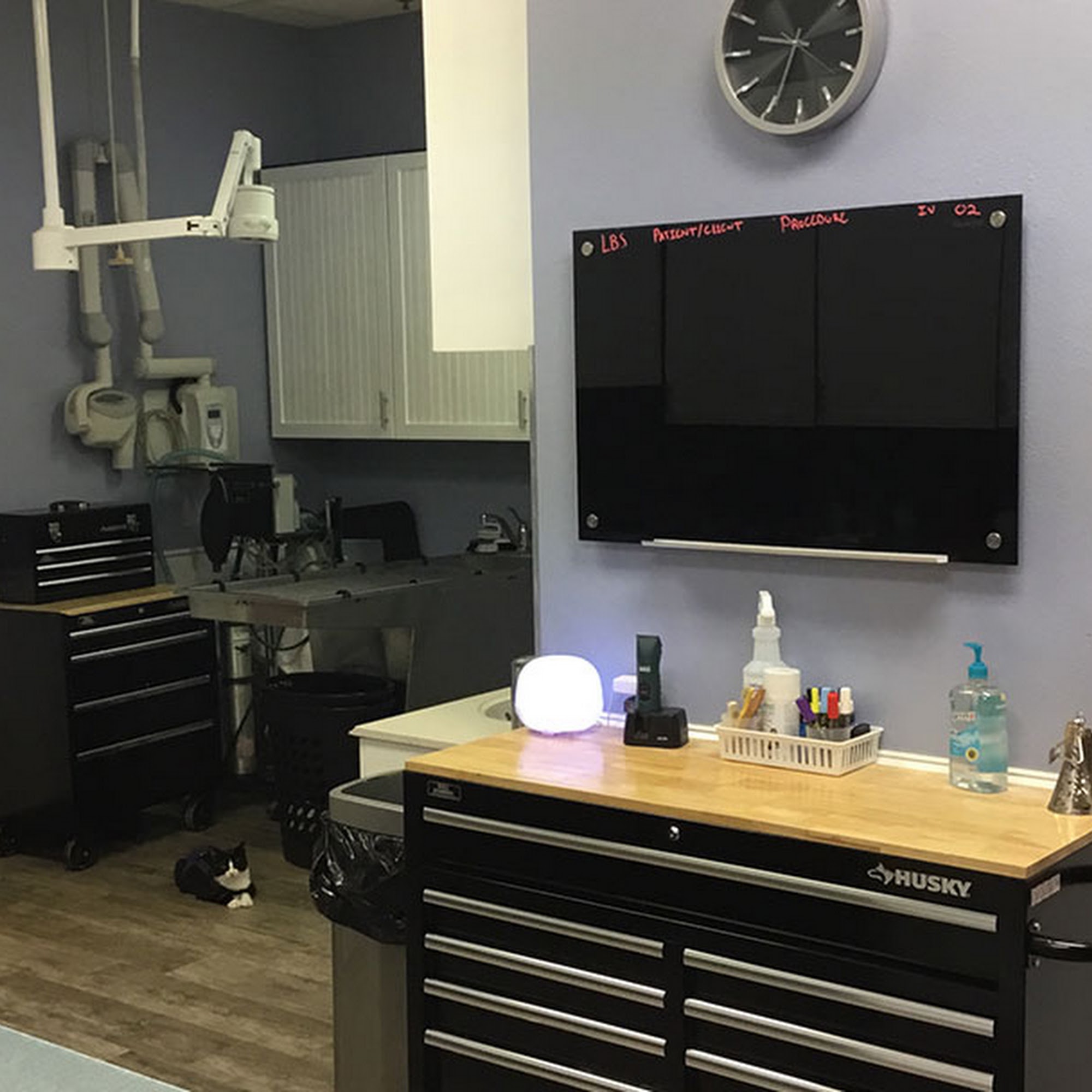 Pecan Grove Veterinary Hospital Tempe