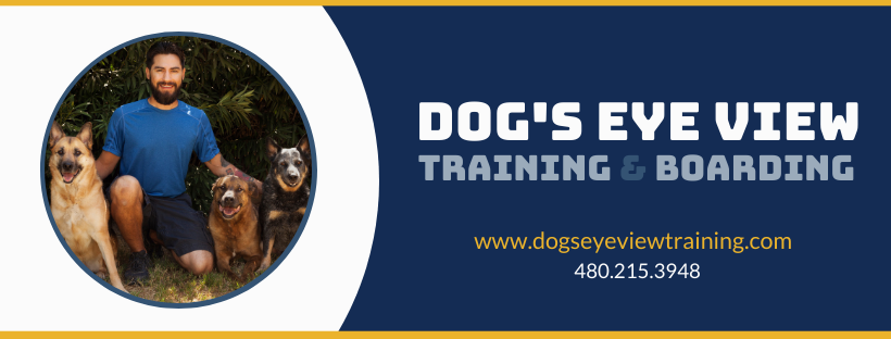 Dog's Eye View Training Tempe