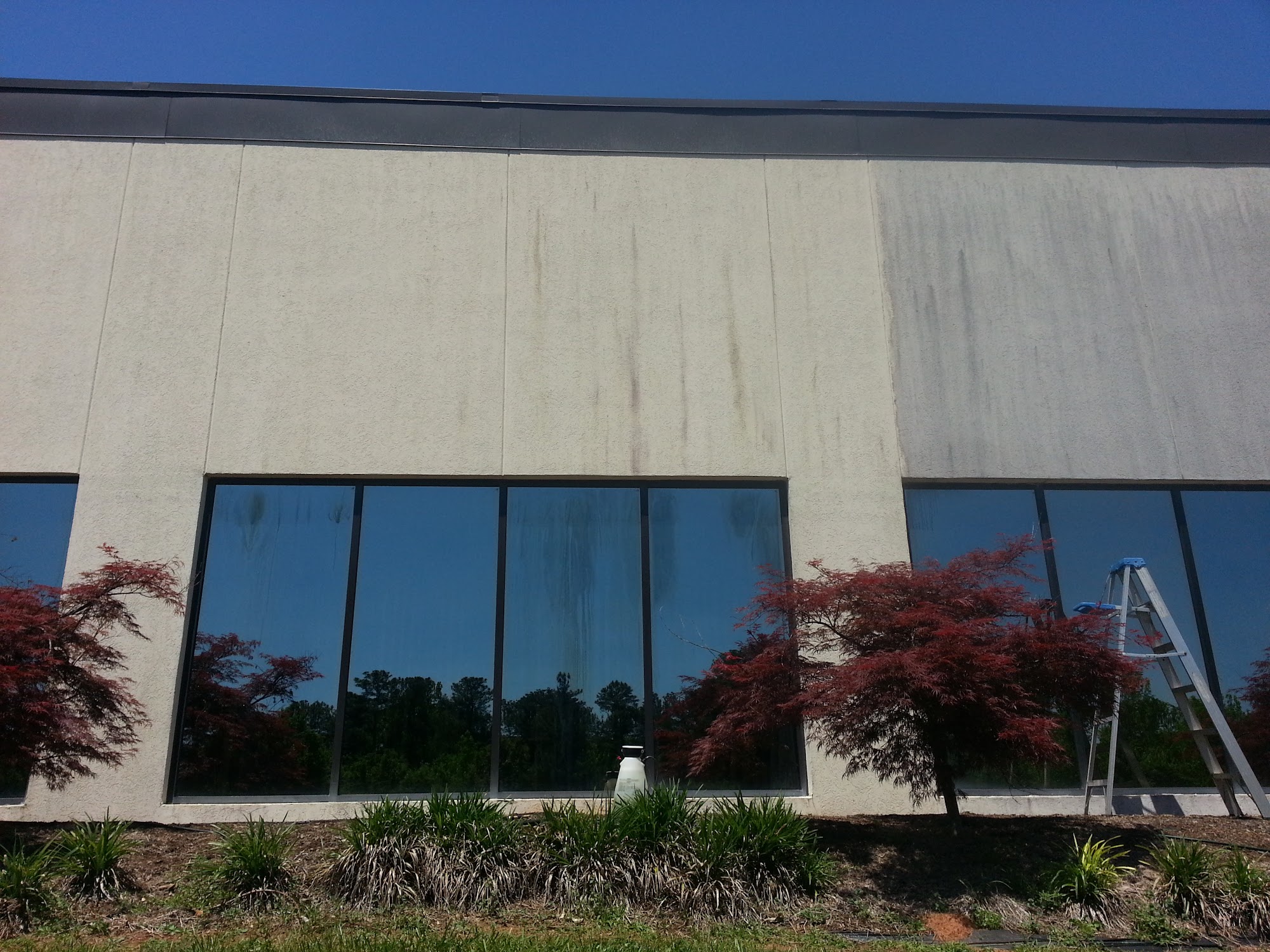 Ziggy's Cleaning Services