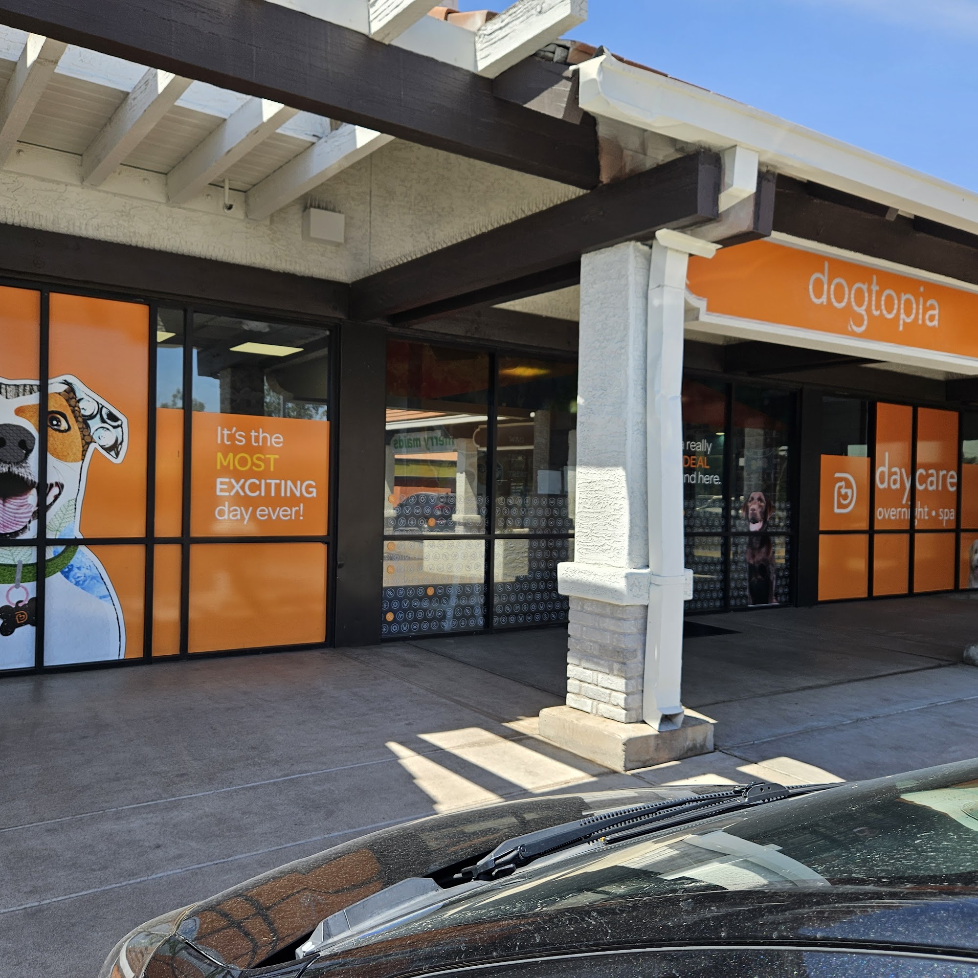 Dogtopia of Tempe Tempe