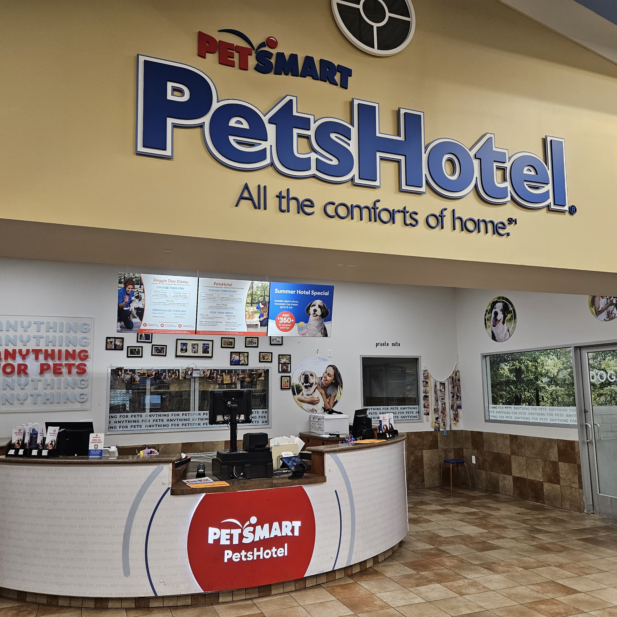 PetSmart Doggie Day Camp