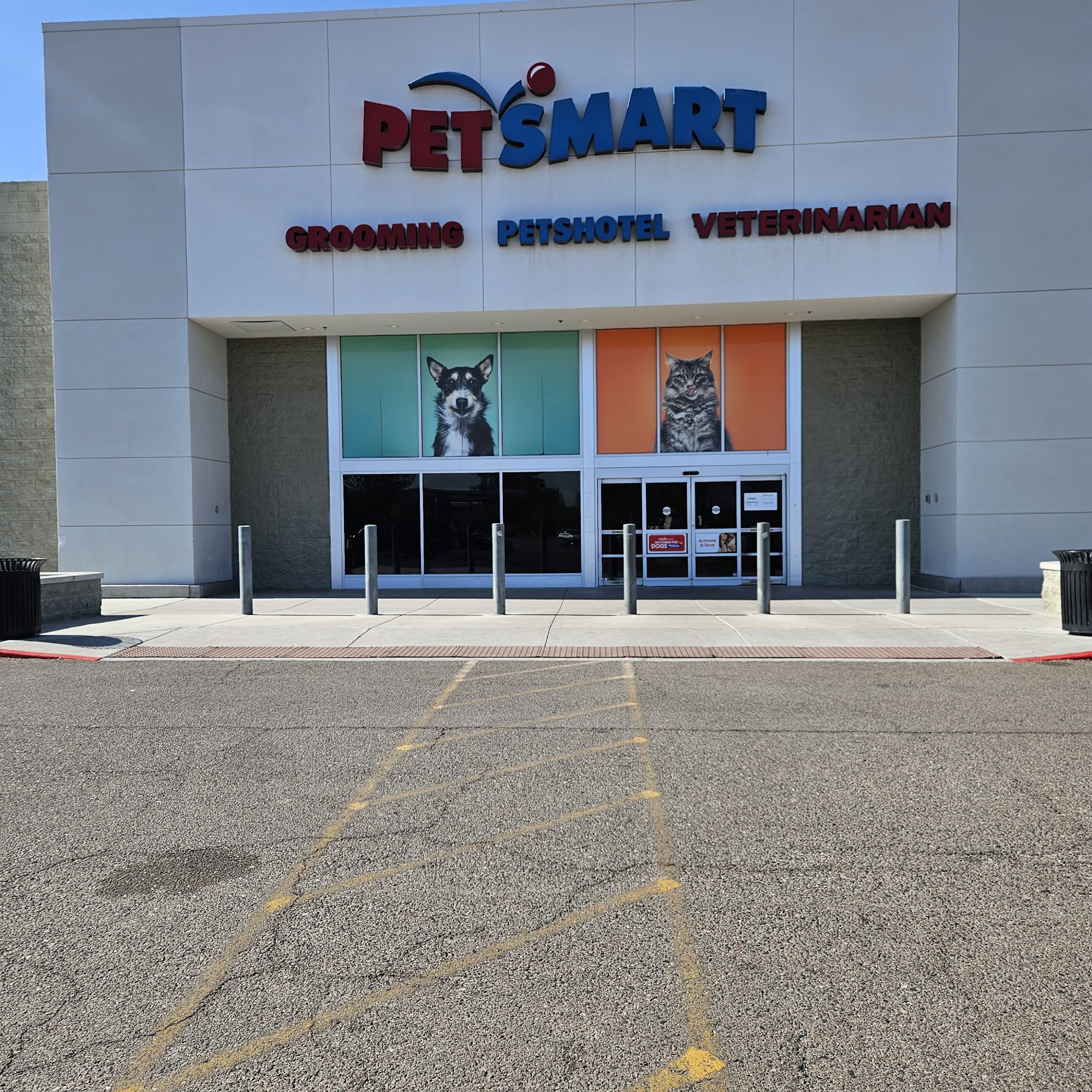 PetSmart Doggie Day Camp Tempe